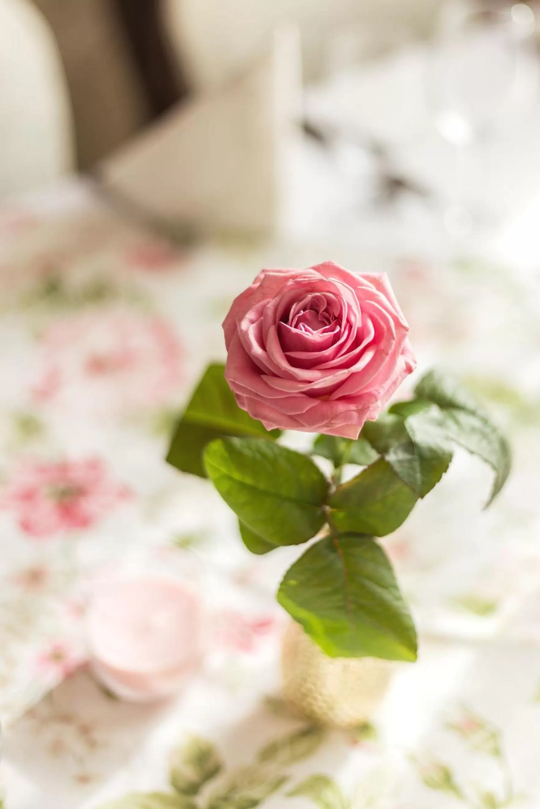 Breakfast in Leśna Perła - Restauracja i Pokoje Hotelowe