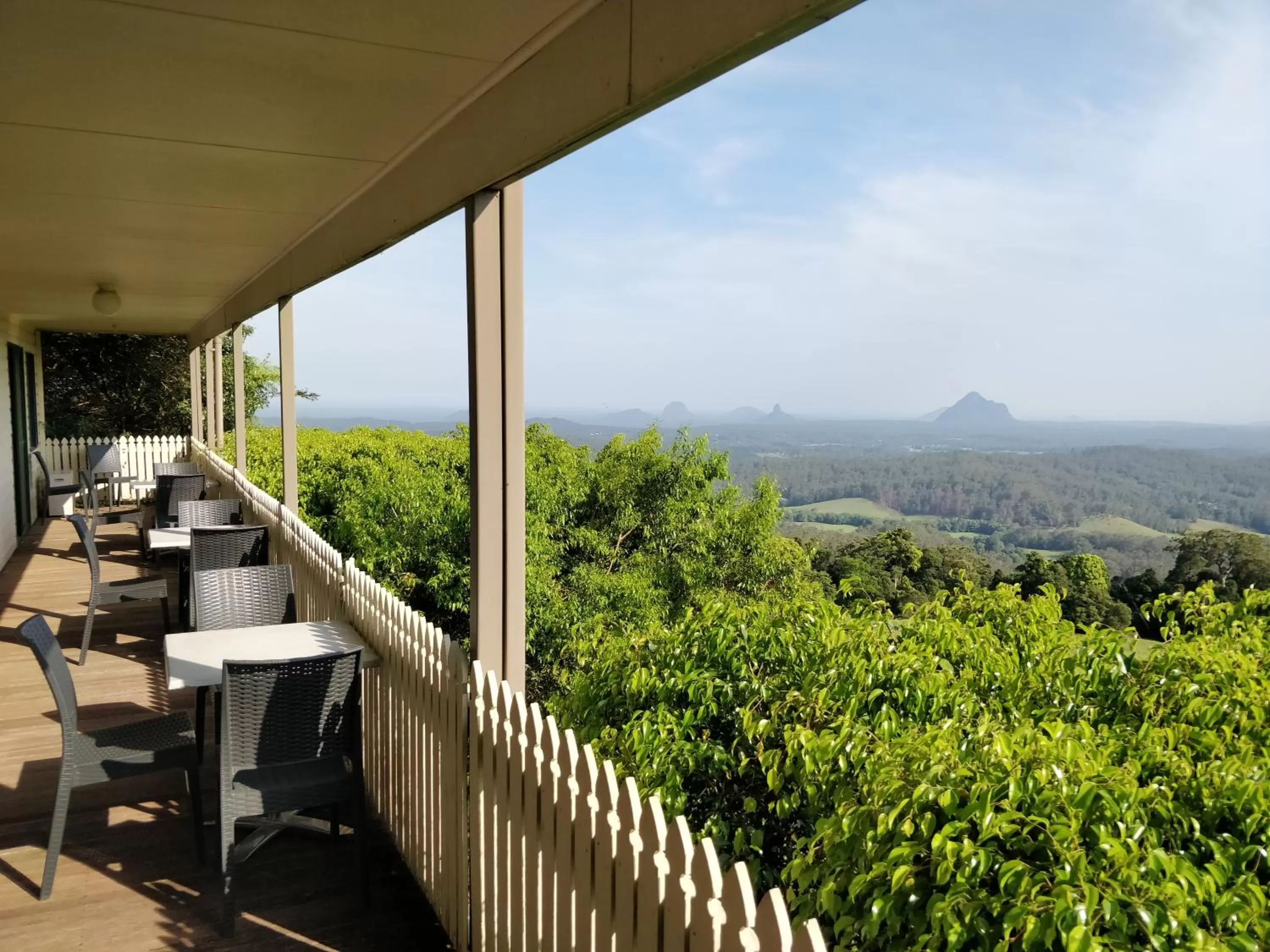 Day in Tranquil Park