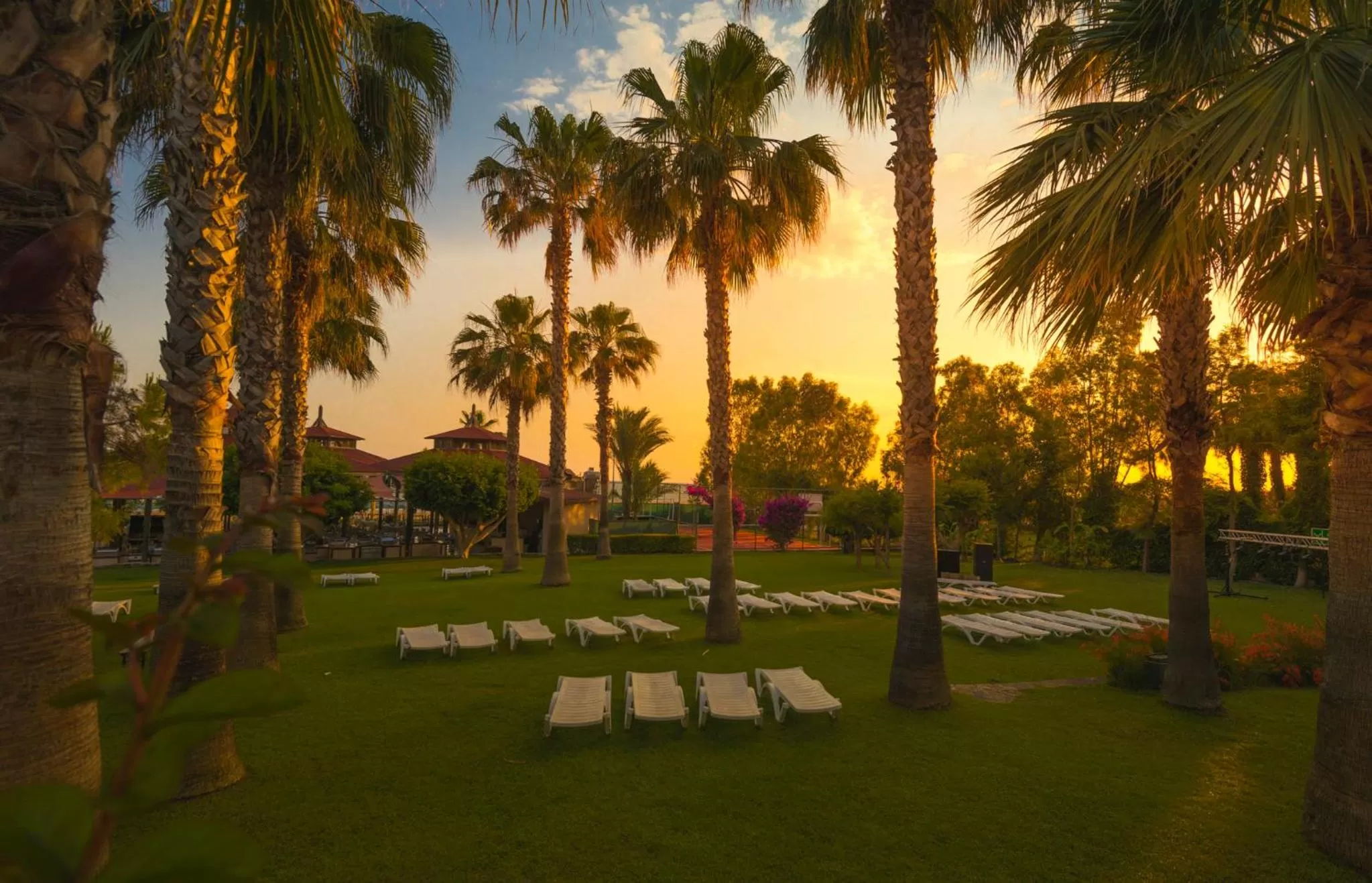 Natural landscape in Hotel Terrace Beach Resort All Inclusive