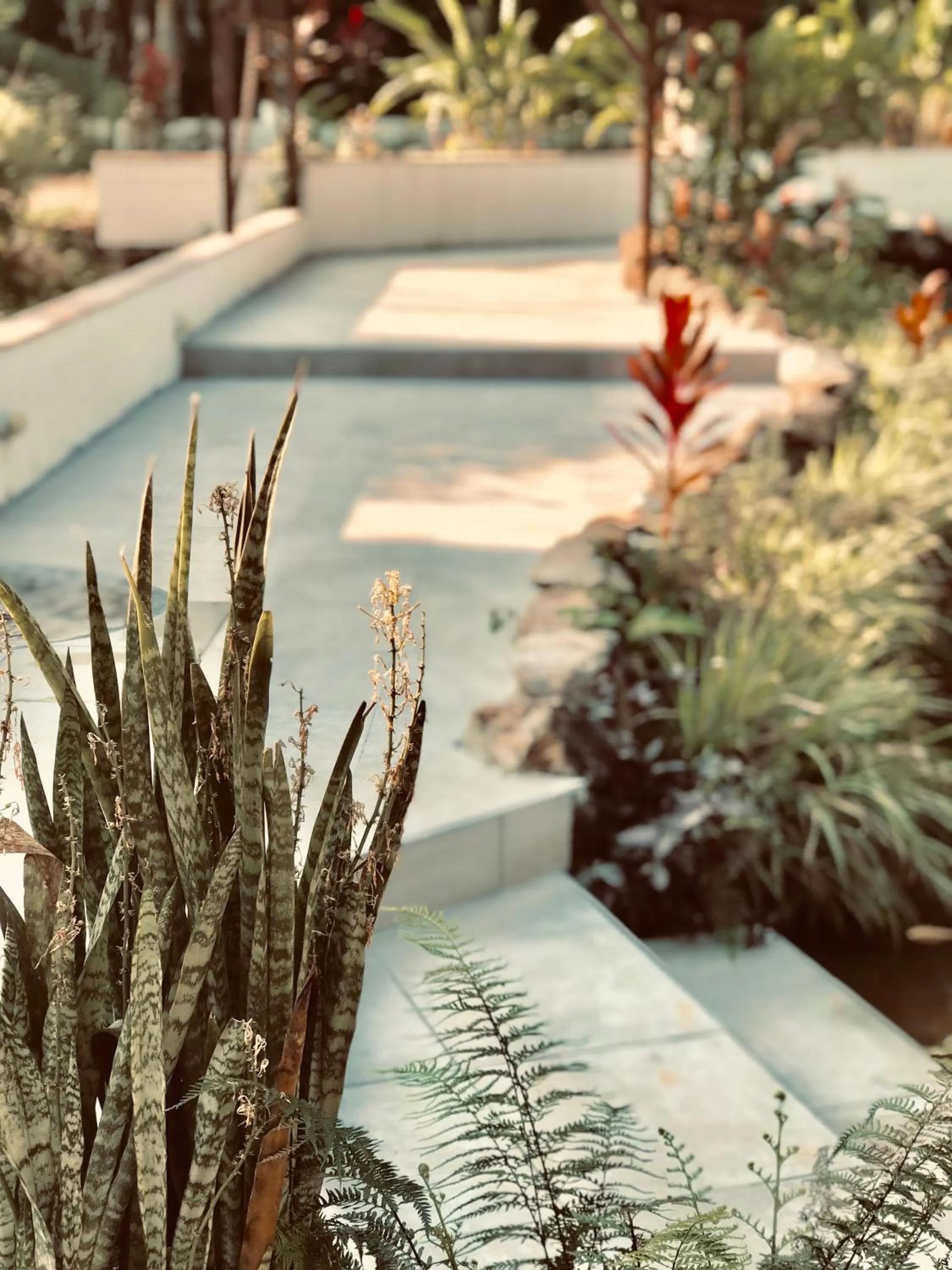 Pool view, Swimming Pool in Sattva Land