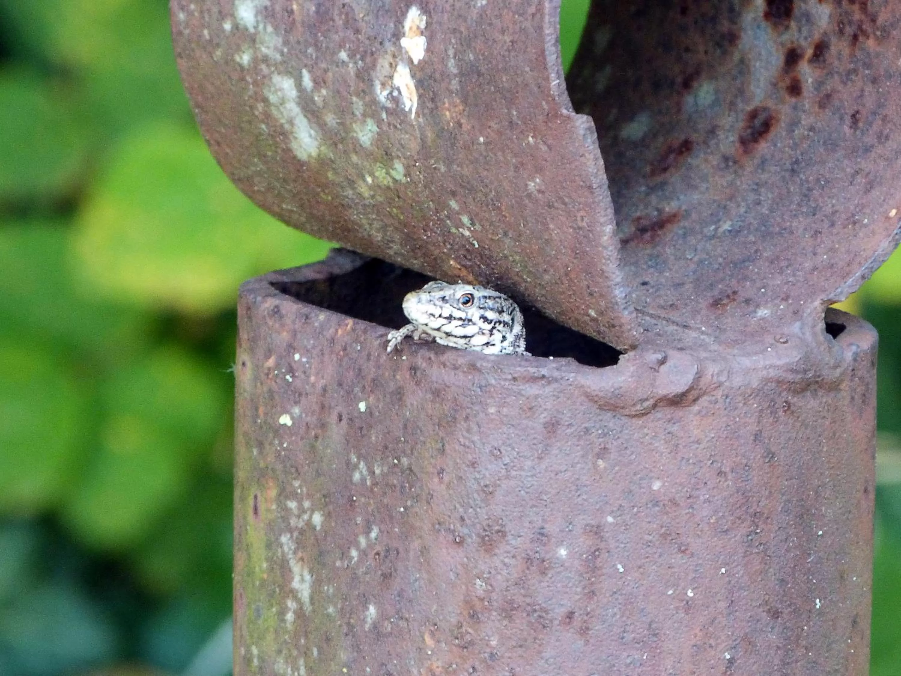 Property building in Les Rêves de Flamboin