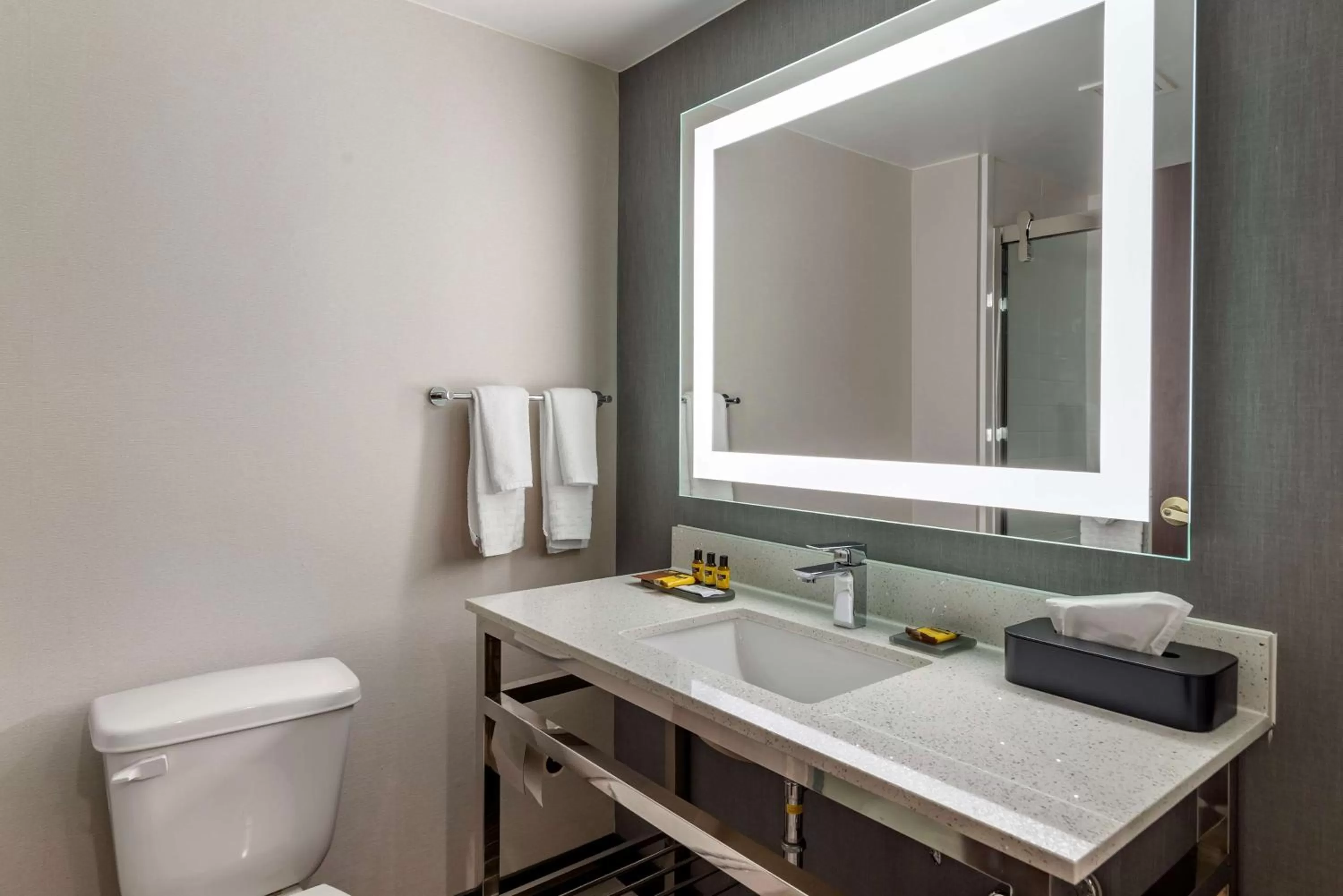 Bathroom in Best Western Plus Dalton Inn