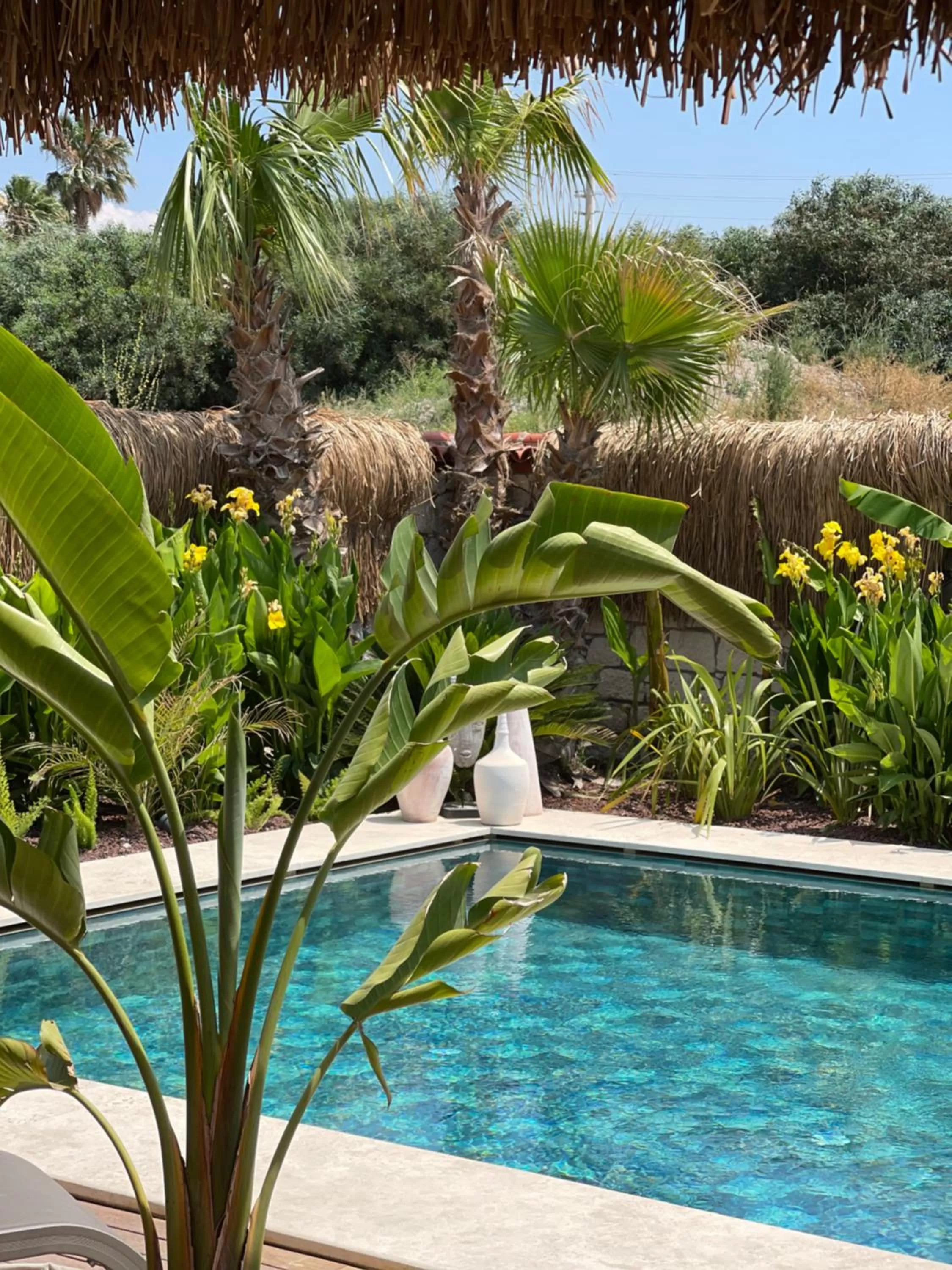 Pool view in Voger Alaçatı Silence
