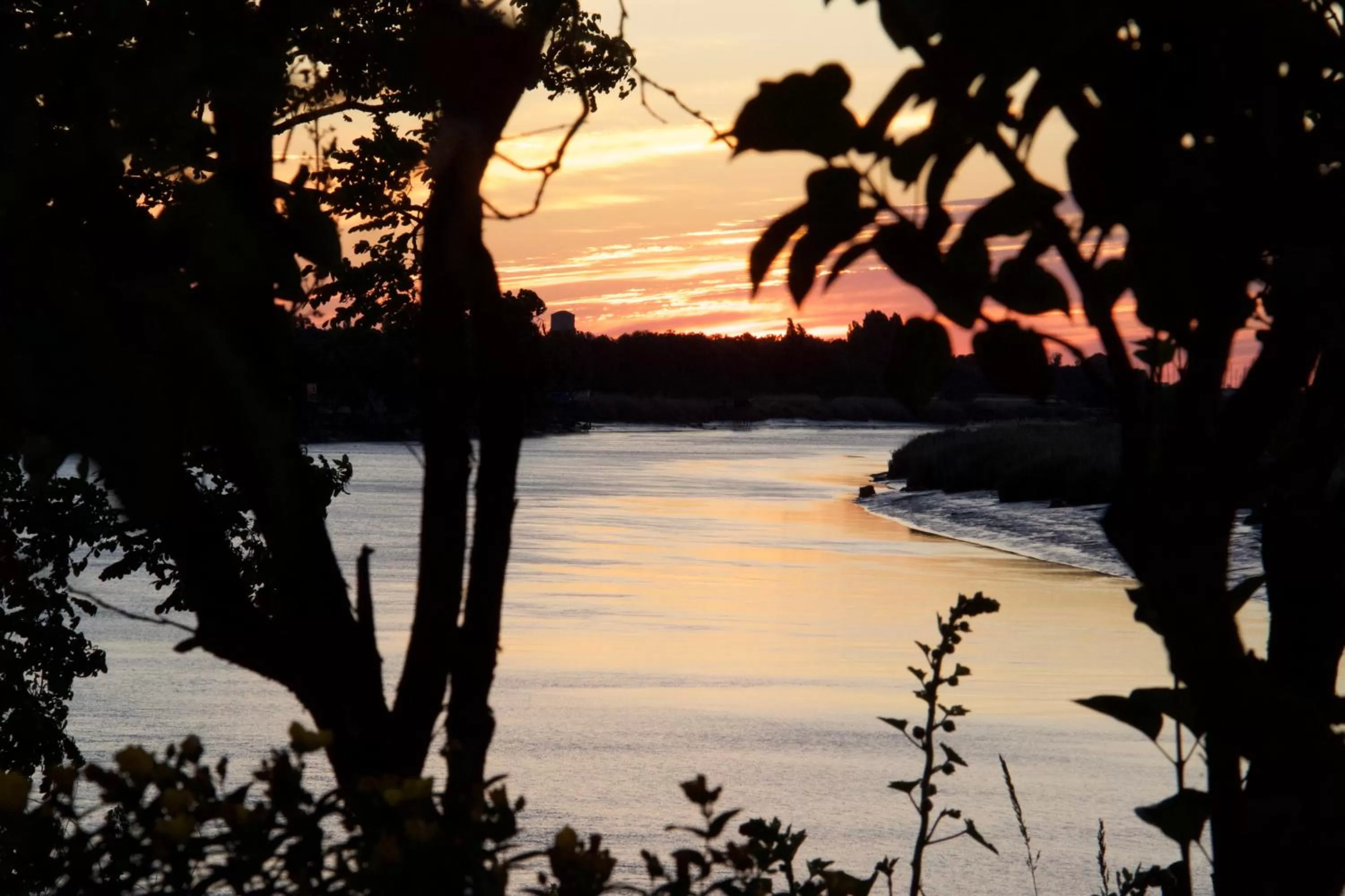 View (from property/room) in La Charentine