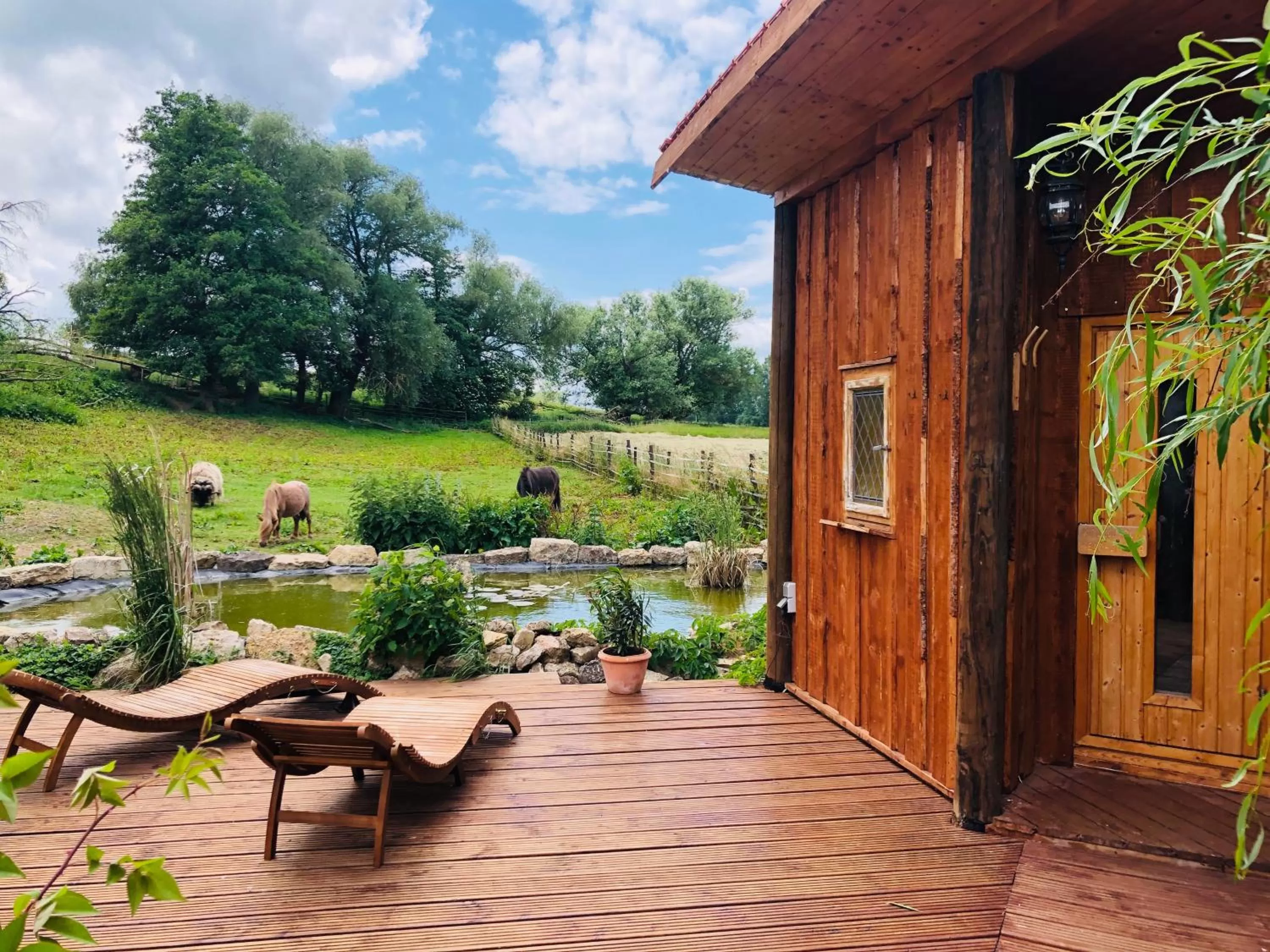 Sauna in Hotel Weiße Mühle