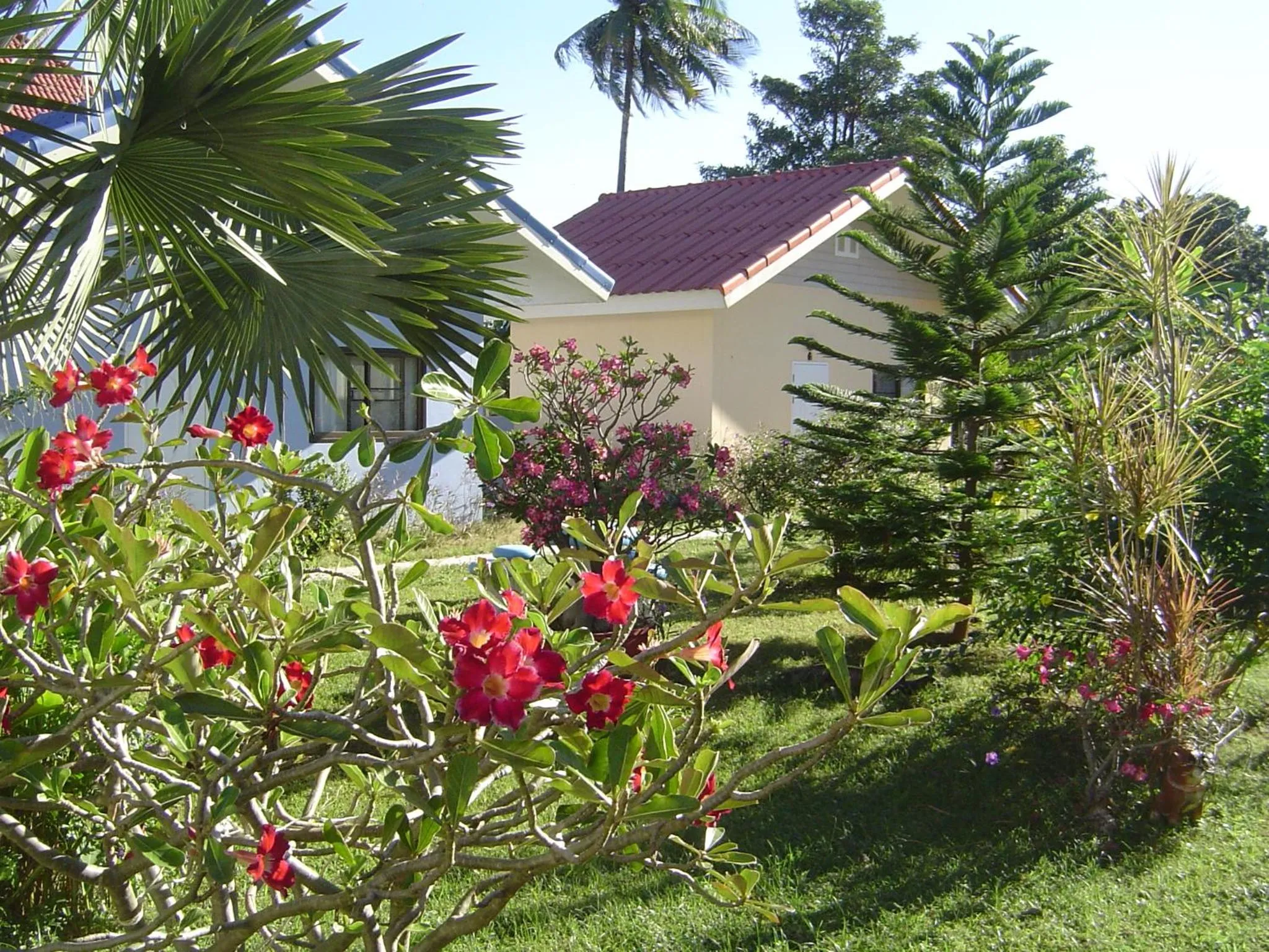 Garden in Mini-golf **** & Resort Ubon Ratchathani