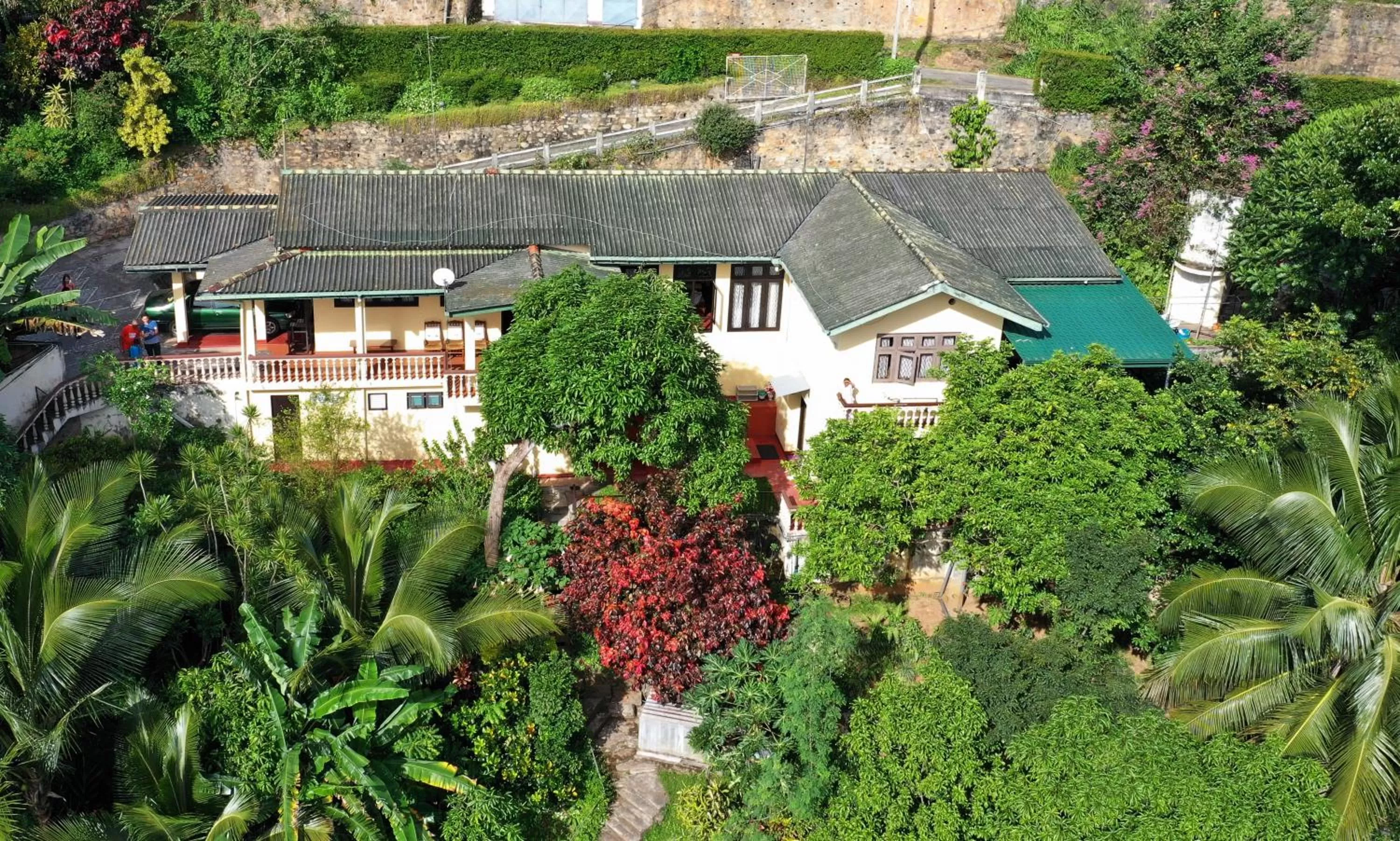 Bird's eye view, Bird's-eye View in Evergreen