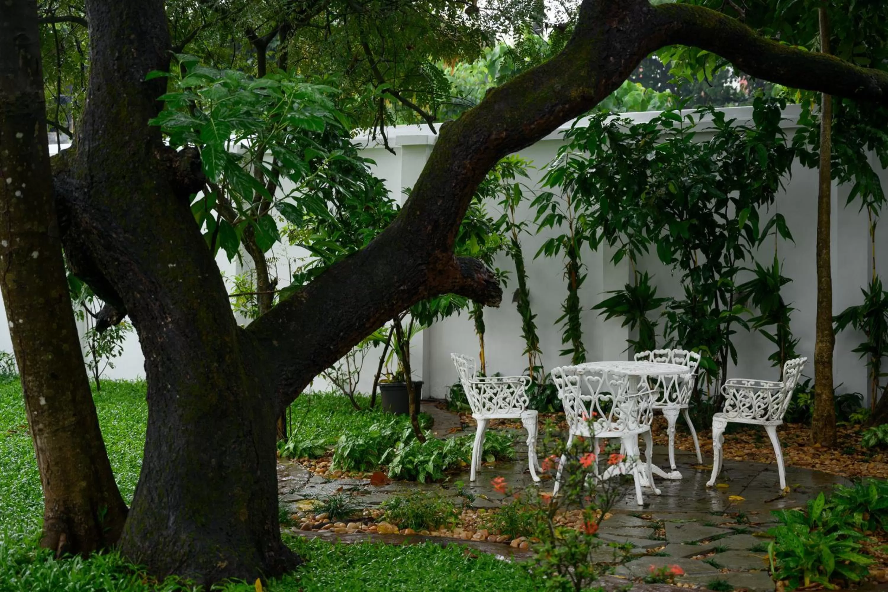 Garden in Surya Heritage Hotels
