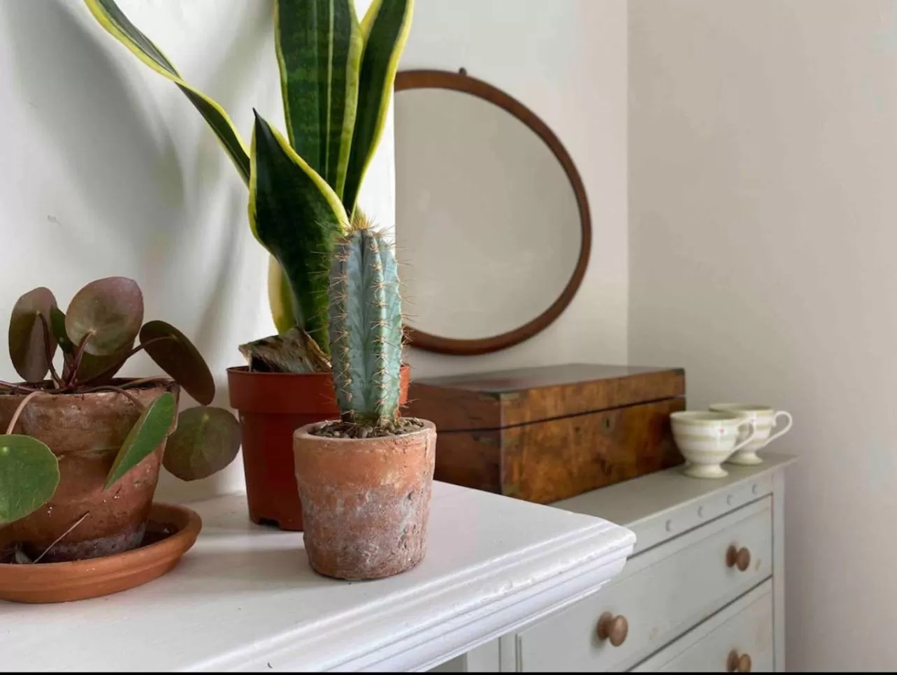 Decorative detail in Hedgebank