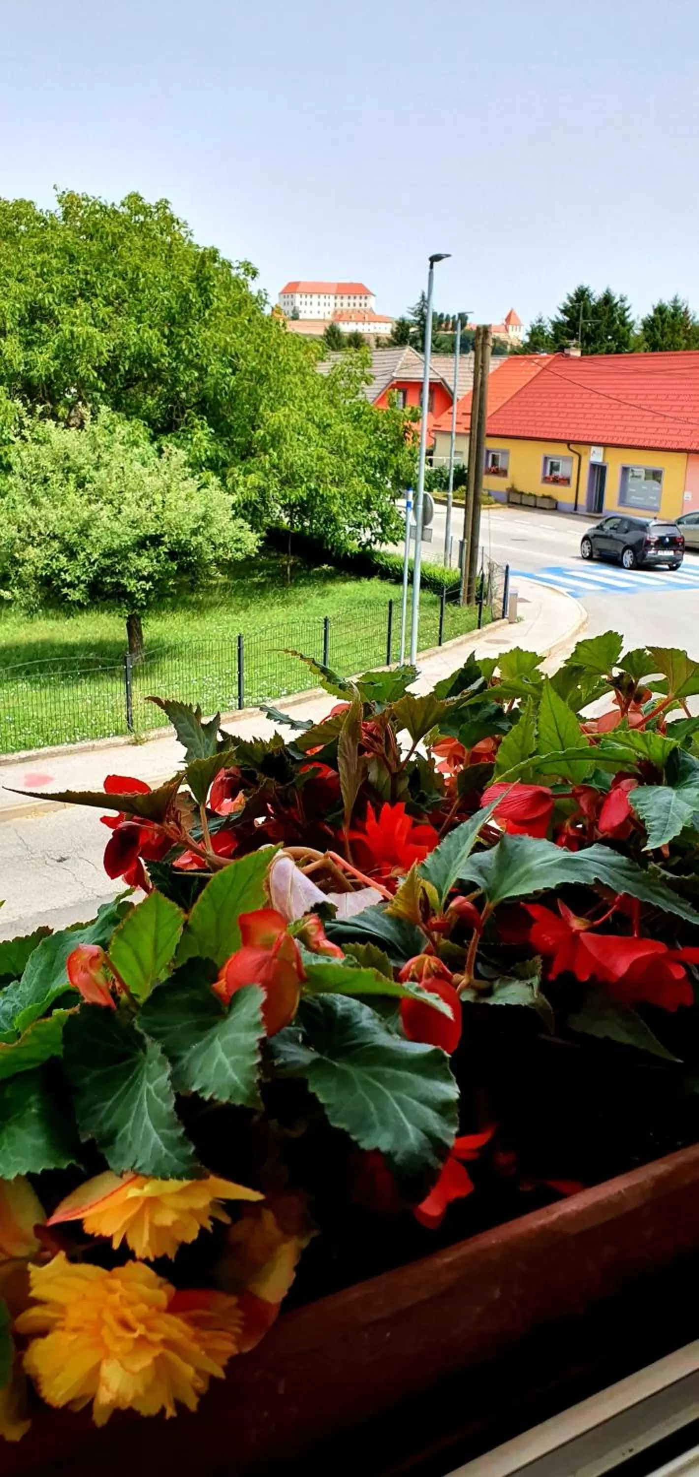 View (from property/room) in Hostel Sonce