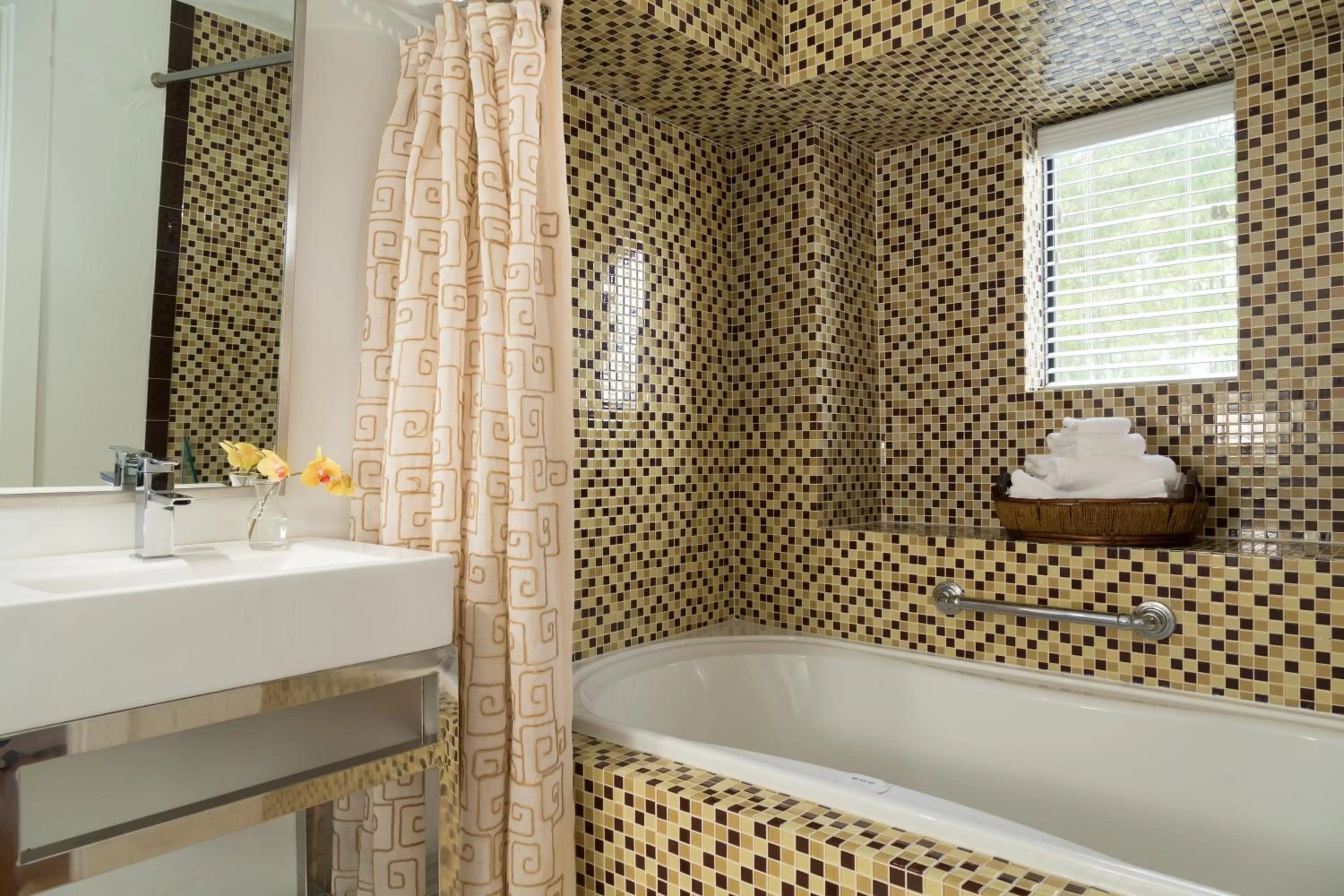 Shower in Black Dolphin Inn