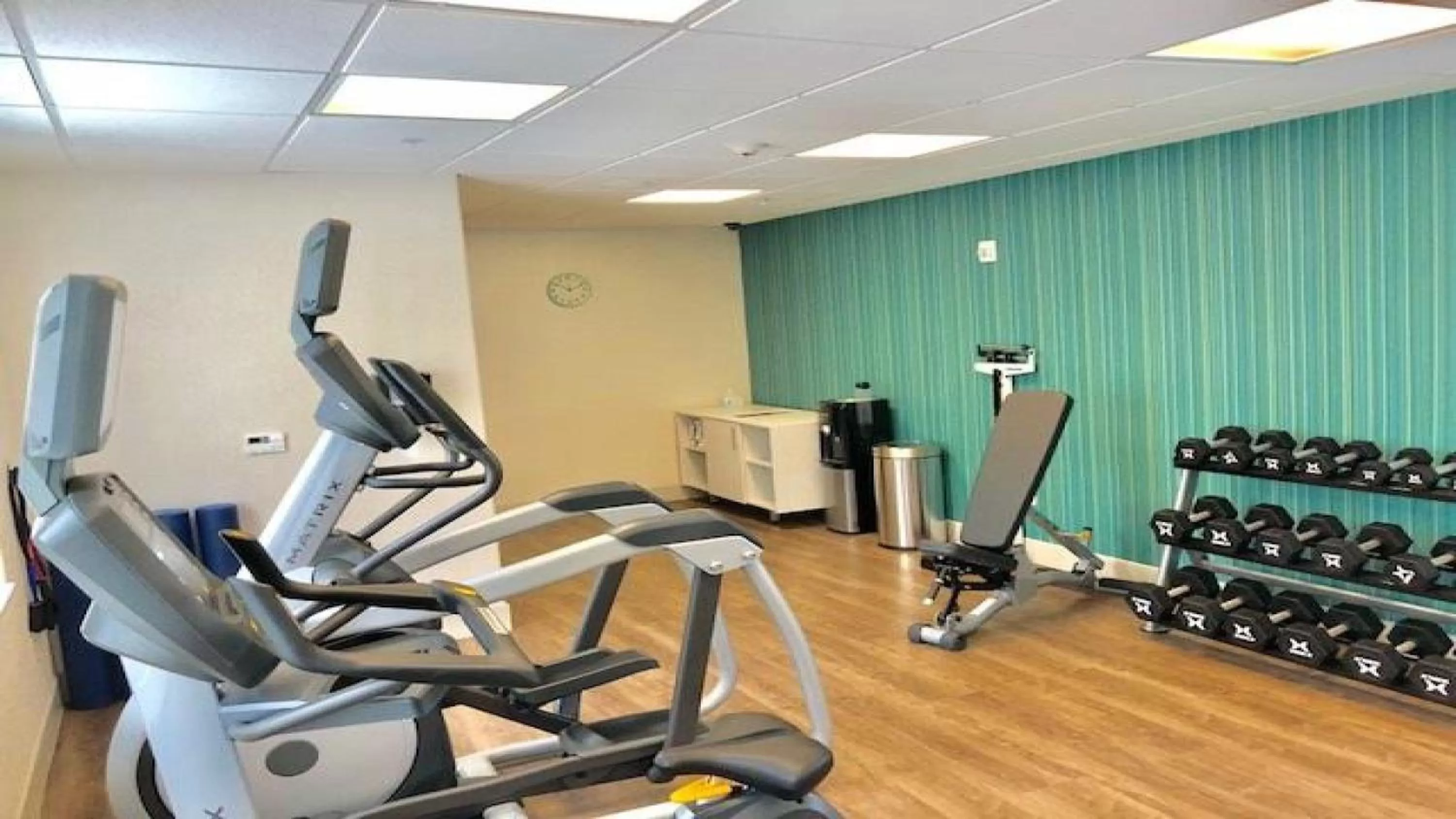 Fitness centre/facilities in Holiday Inn Express Hotel & Suites Mount Pleasant by IHG