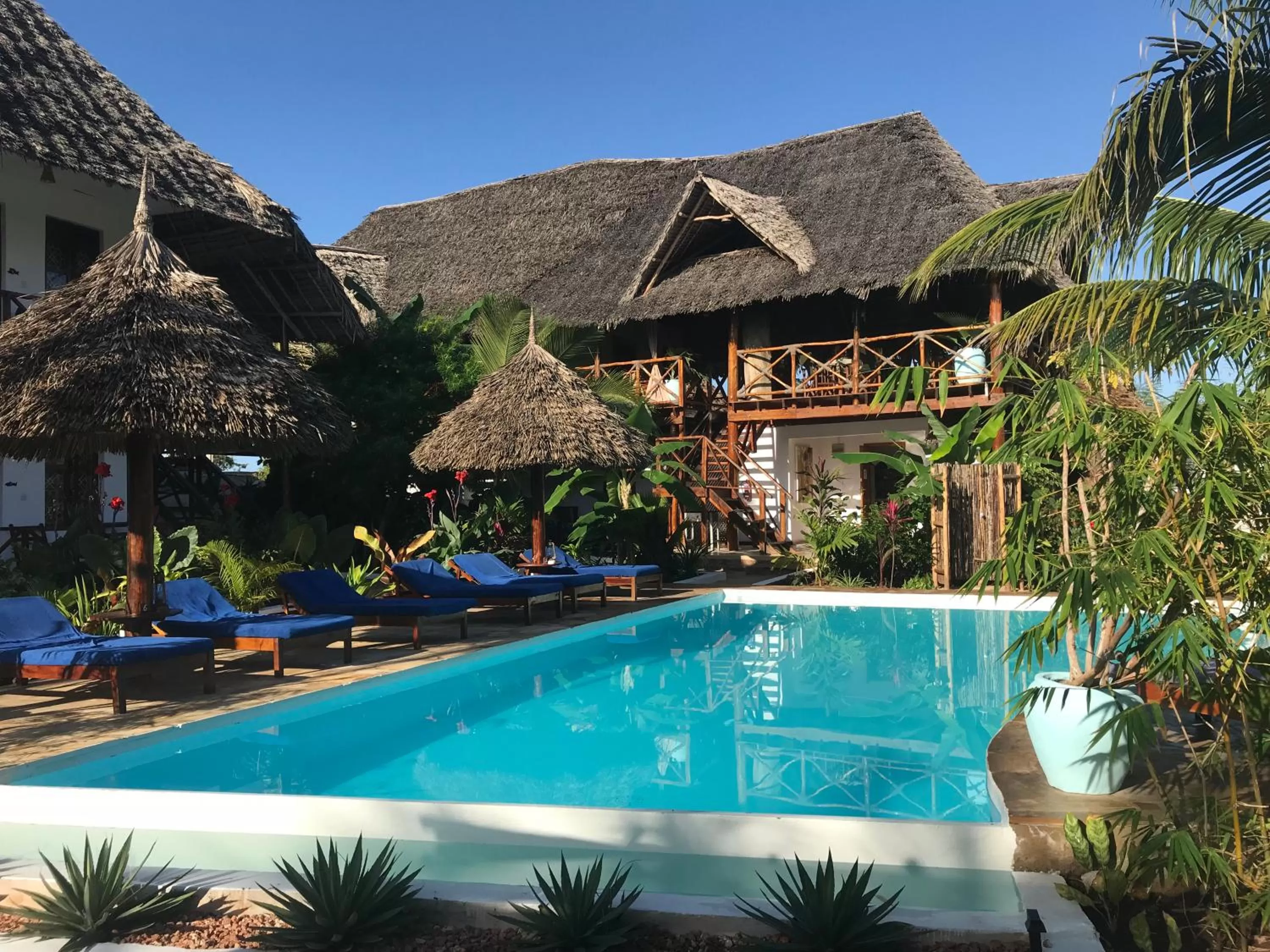 Restaurant/places to eat, Swimming Pool in Aluna Nungwi