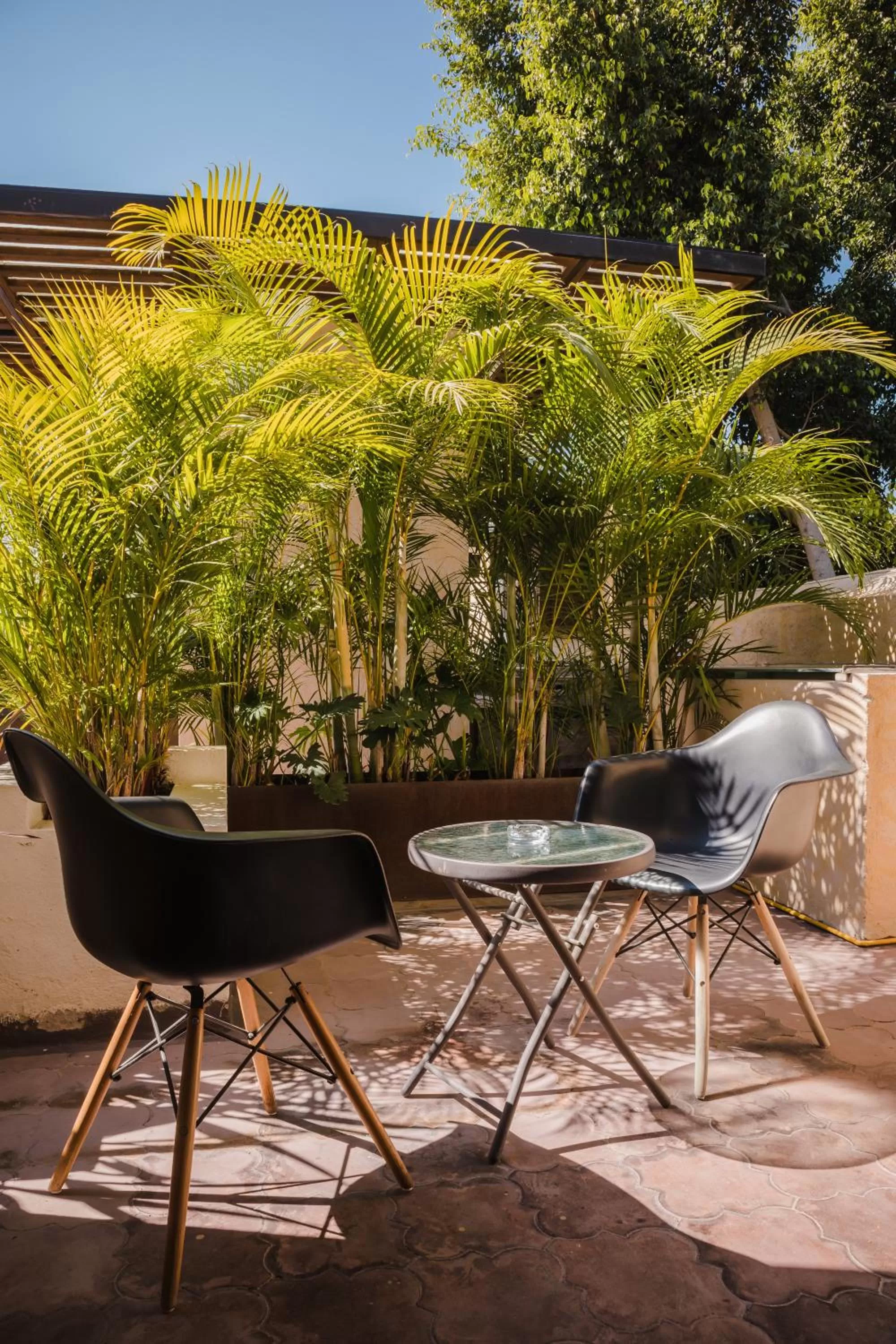 Day in Hotel Casa 88