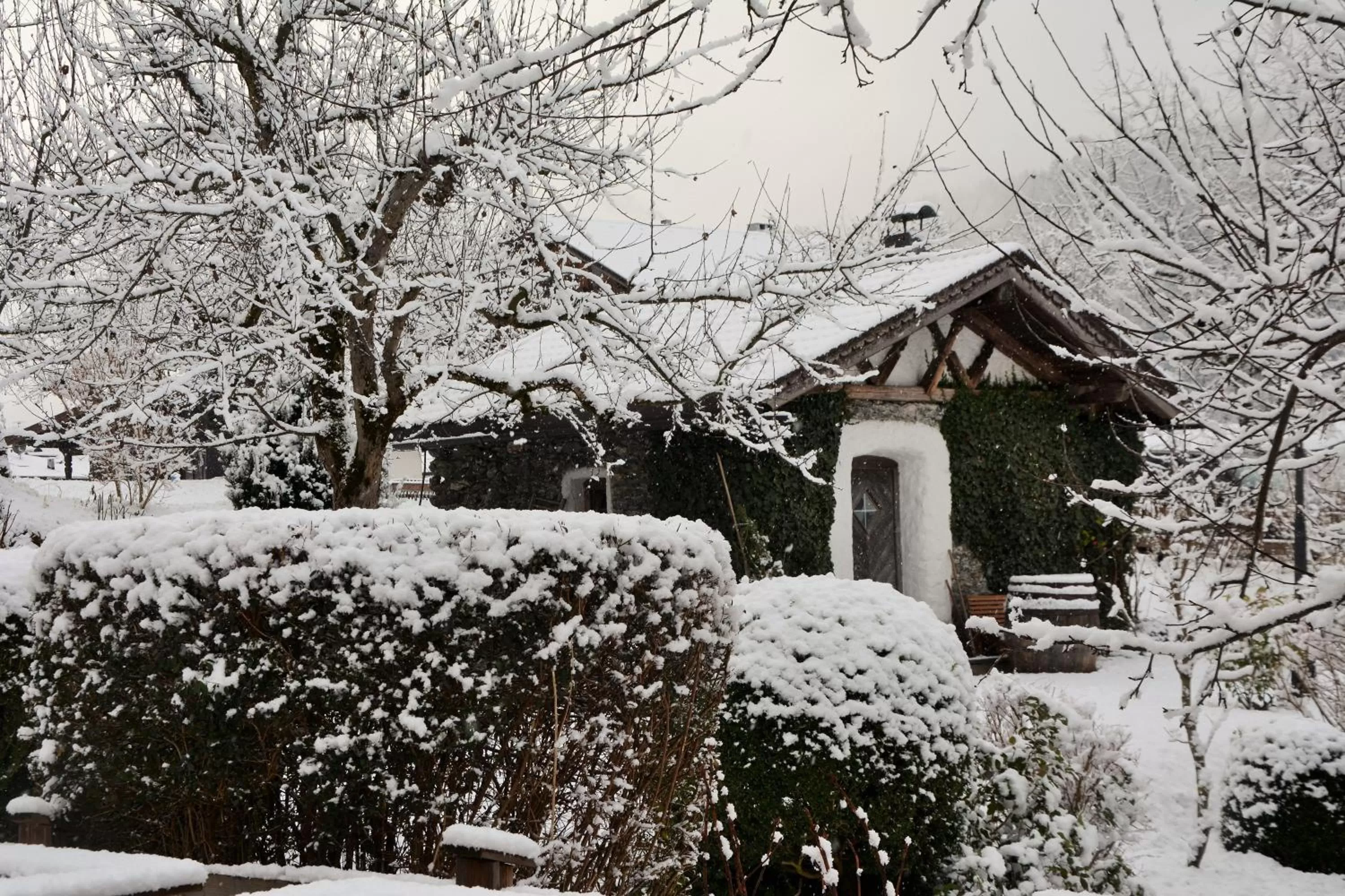 Winter in Natur Resort RISSBACHER