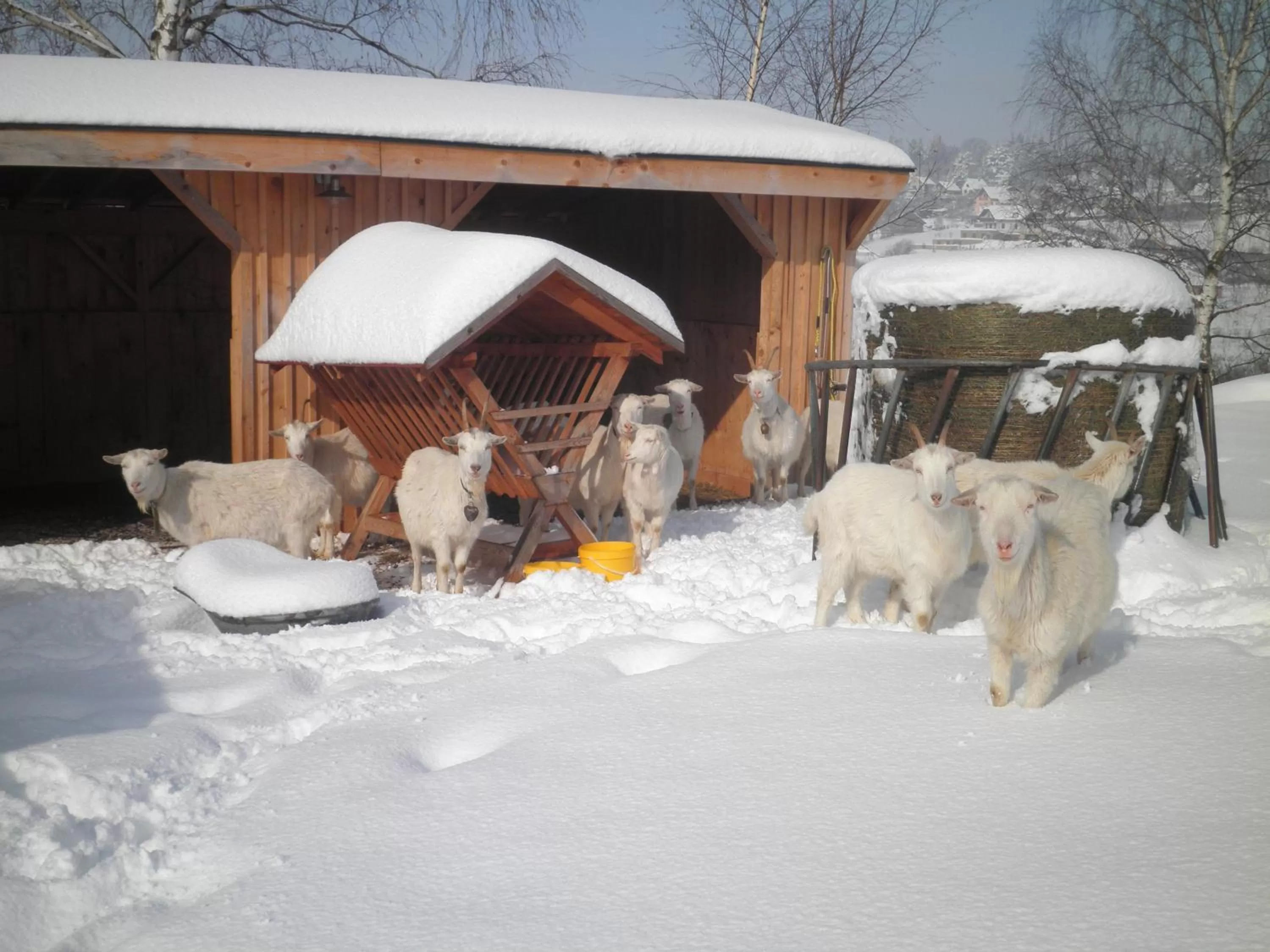 Other in Sport-hotel Šibeniční vrch
