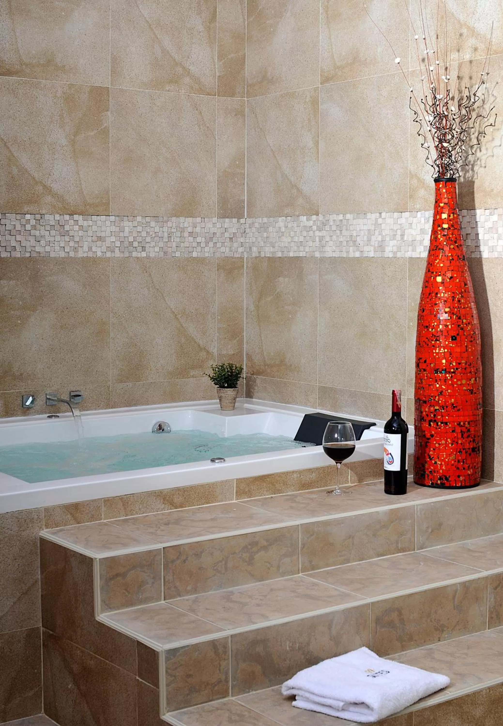 Area and facilities, Swimming Pool in Suites 109 GH Usaquén