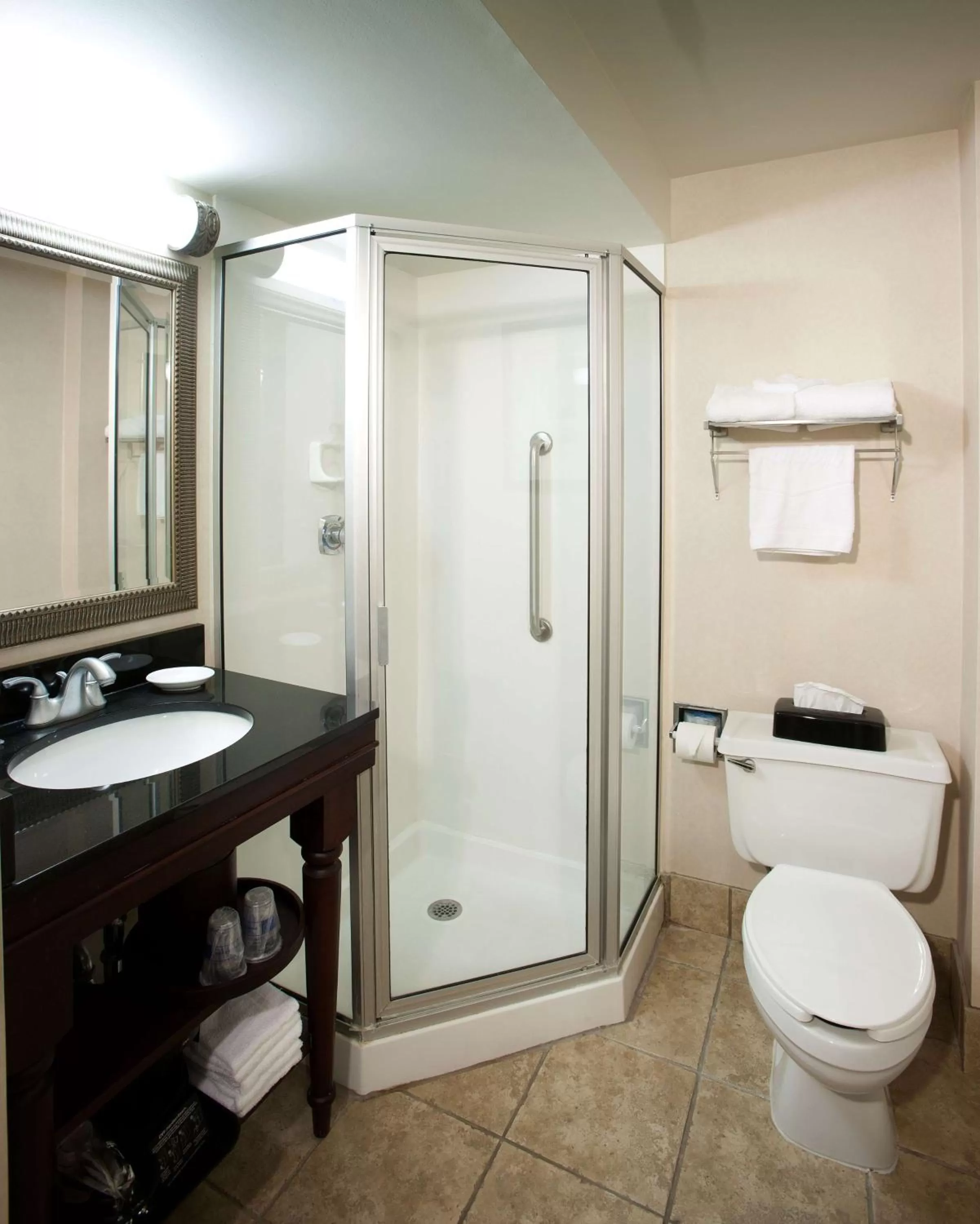 Bathroom in Hampton Inn Pittsburgh University Medical Center