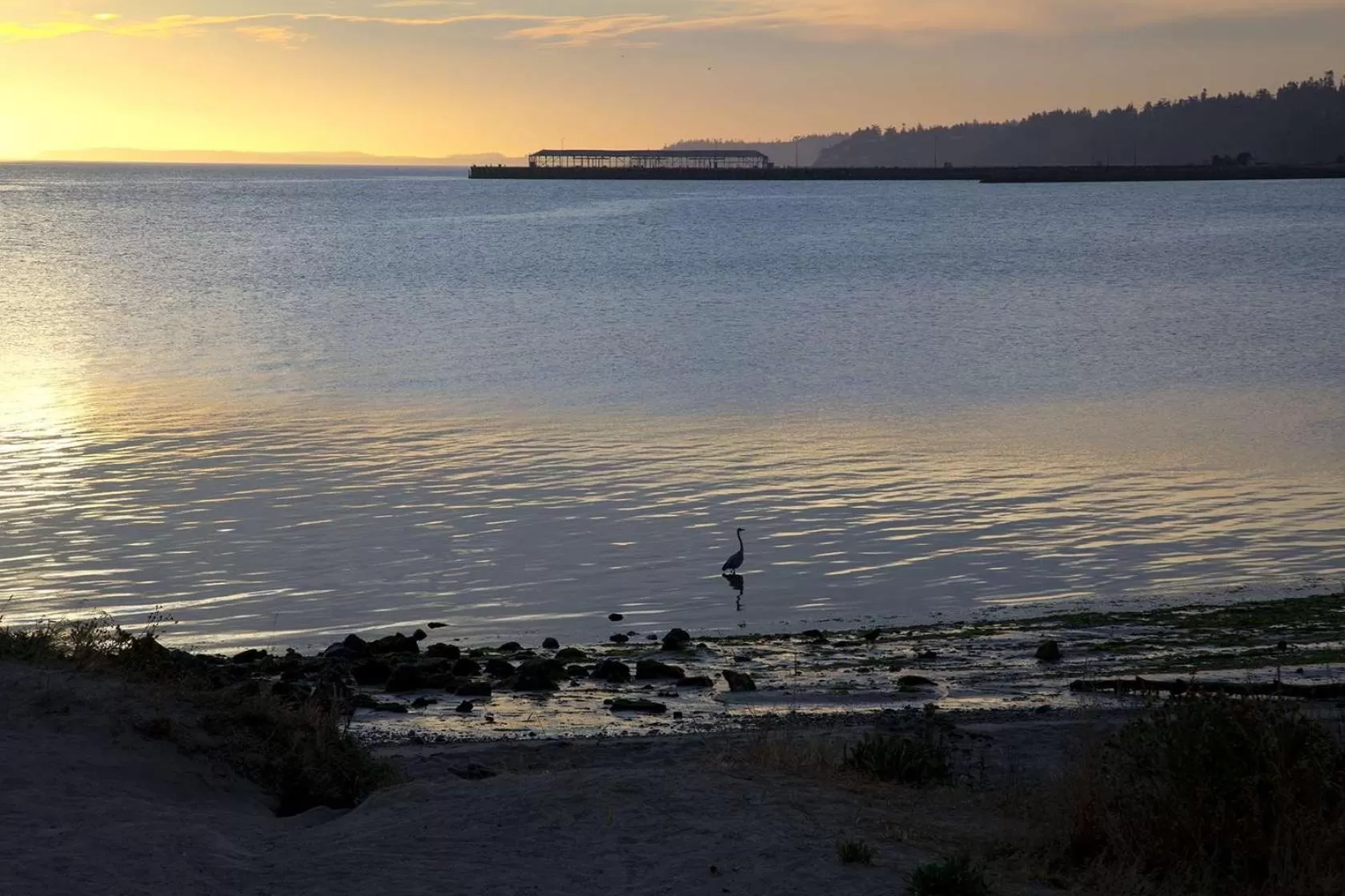 Beach in Red Lion Hotel Port Angeles Harbor