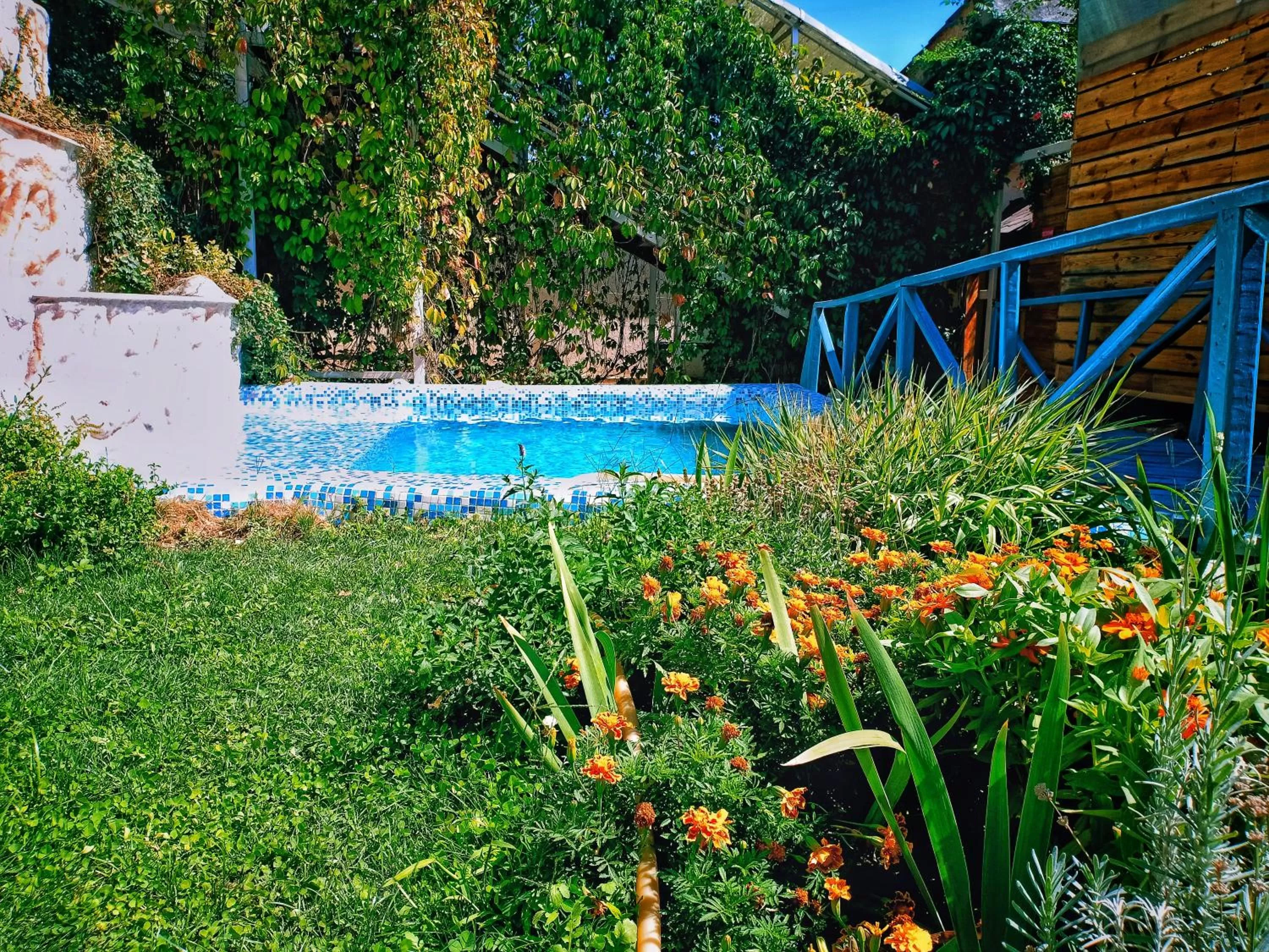 Pool view in Sapar Standart Hotel