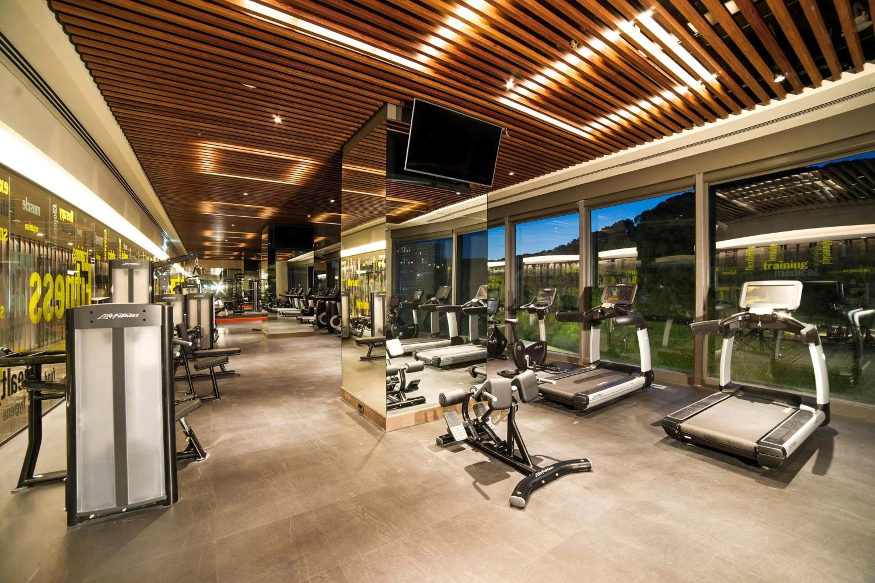 Fitness centre/facilities in Radisson Collection Hotel, Vadistanbul