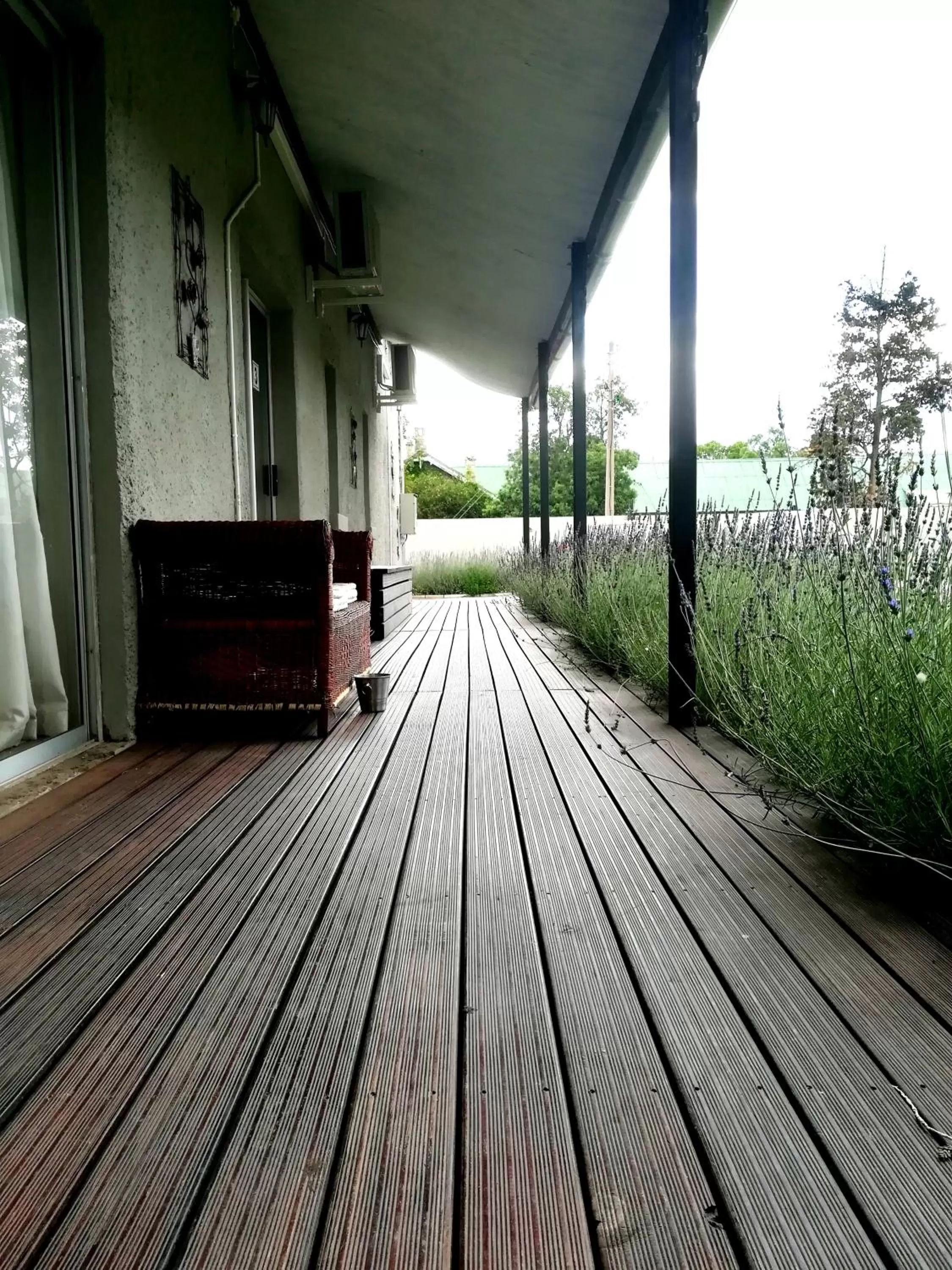 Patio in Tranquil House B&B @ 1 College Ave