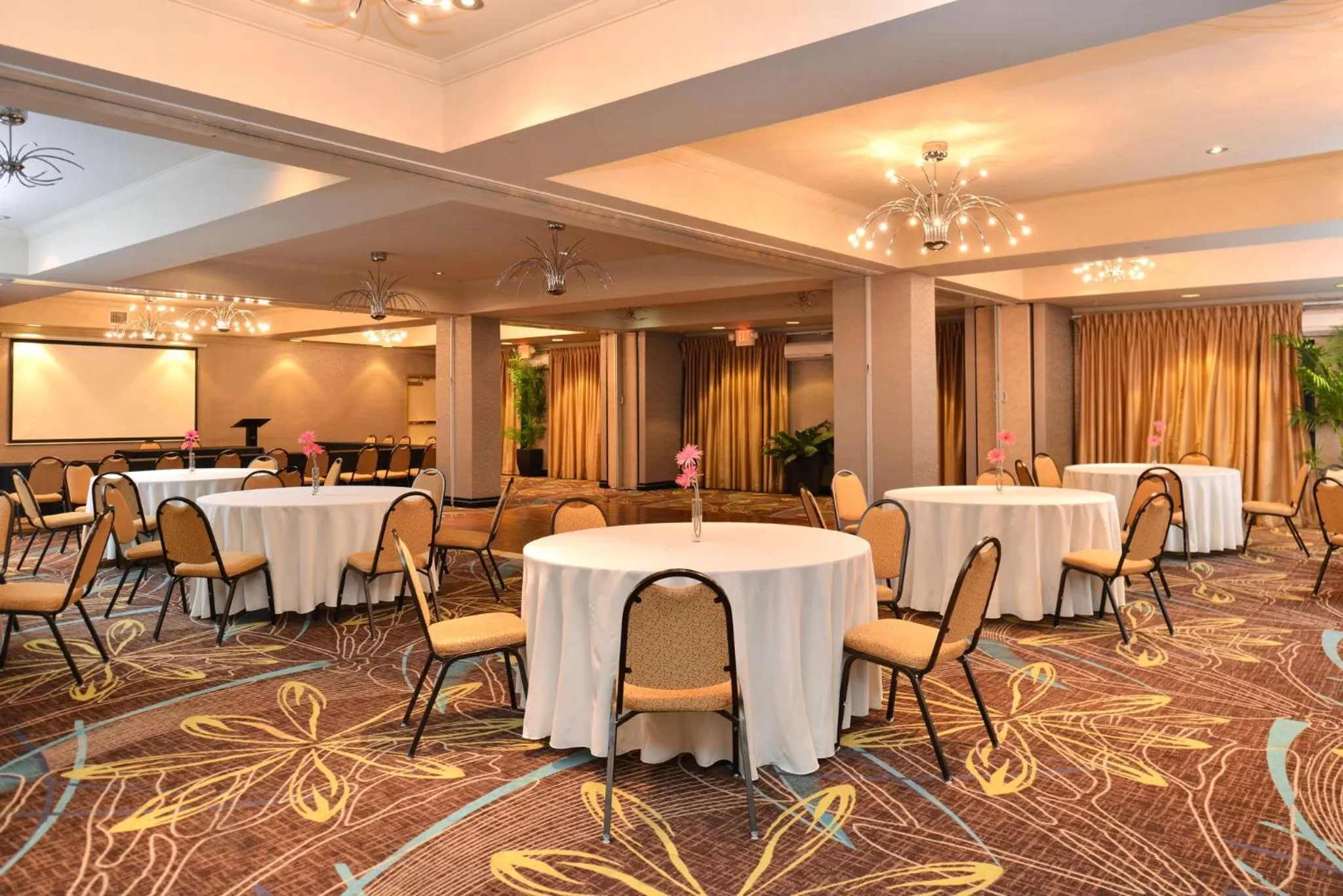 Meeting/conference room in Holiday Inn Express Hotel & Suites Dallas South - DeSoto by IHG