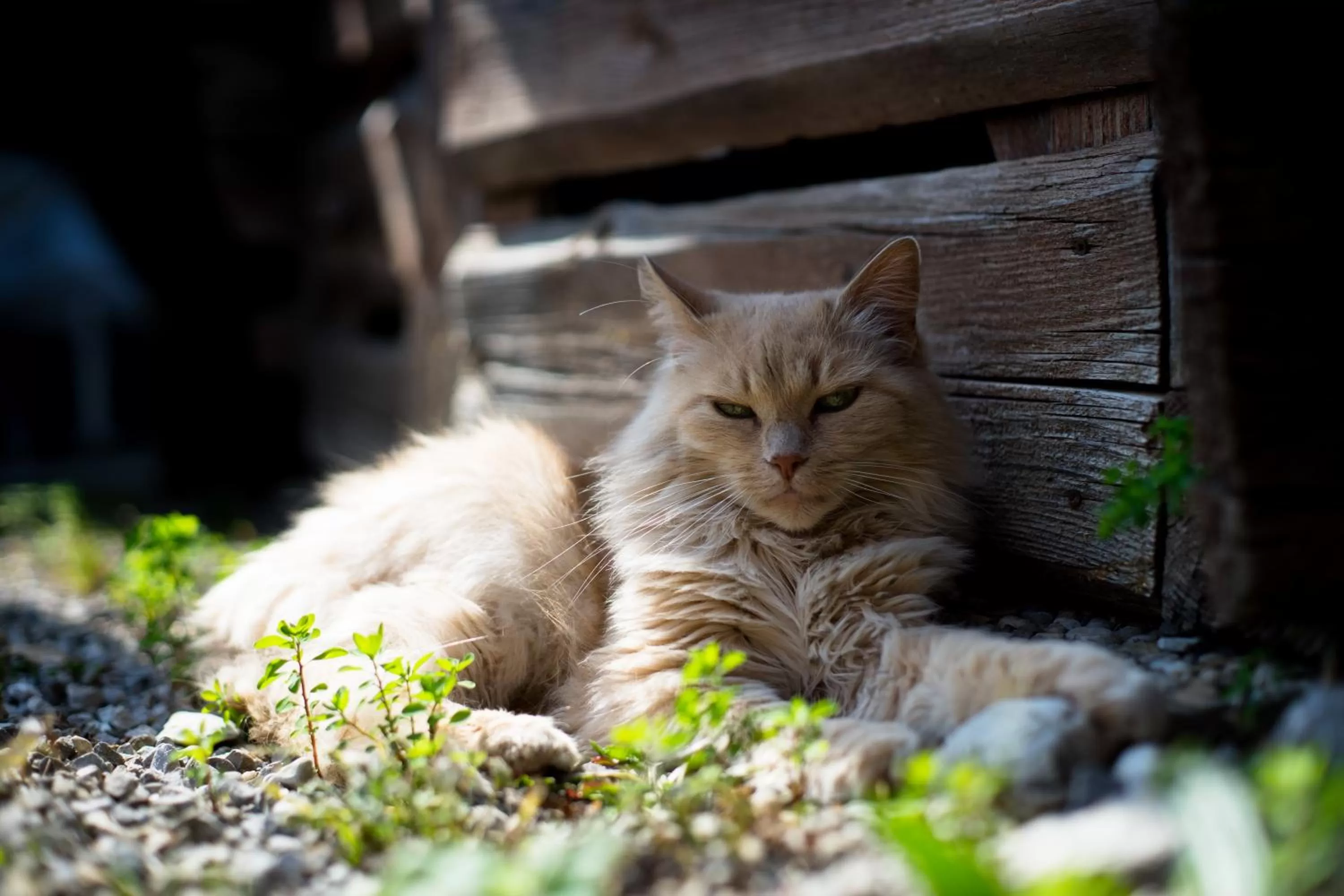 Day in Mittelburg Wellnesshotel