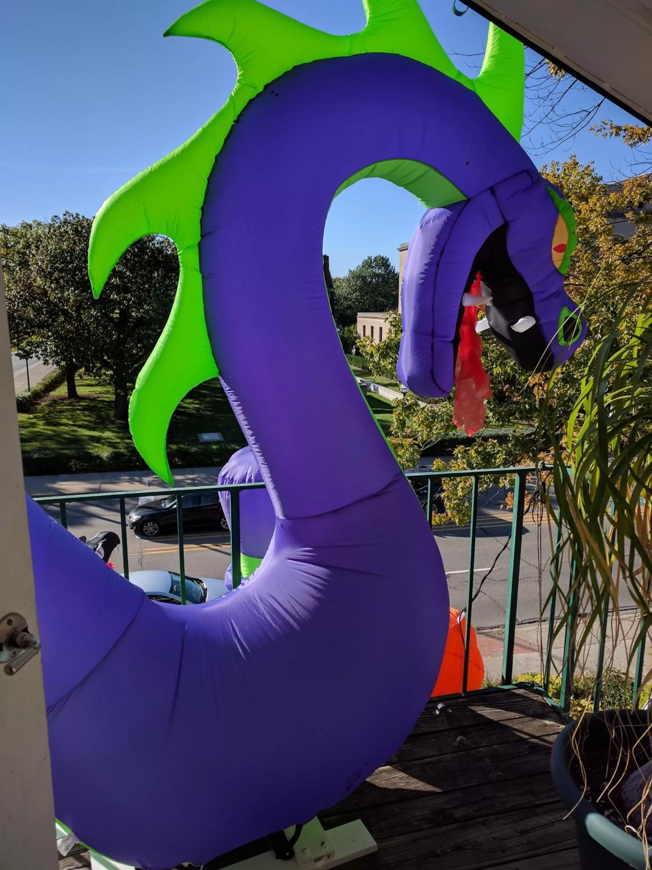 Ann Arbor Bed and Breakfast