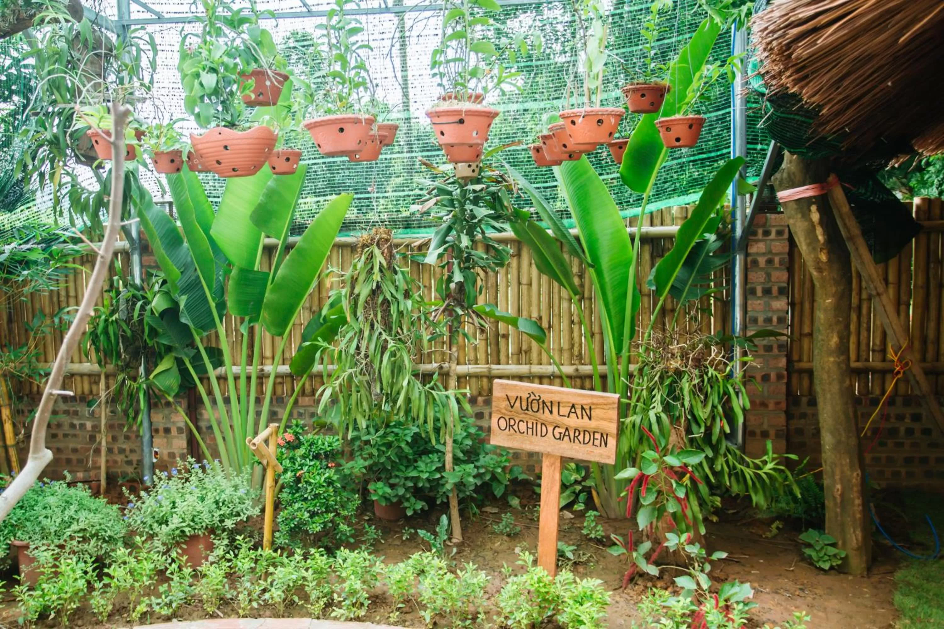 Garden in Nan House - Tam Coc