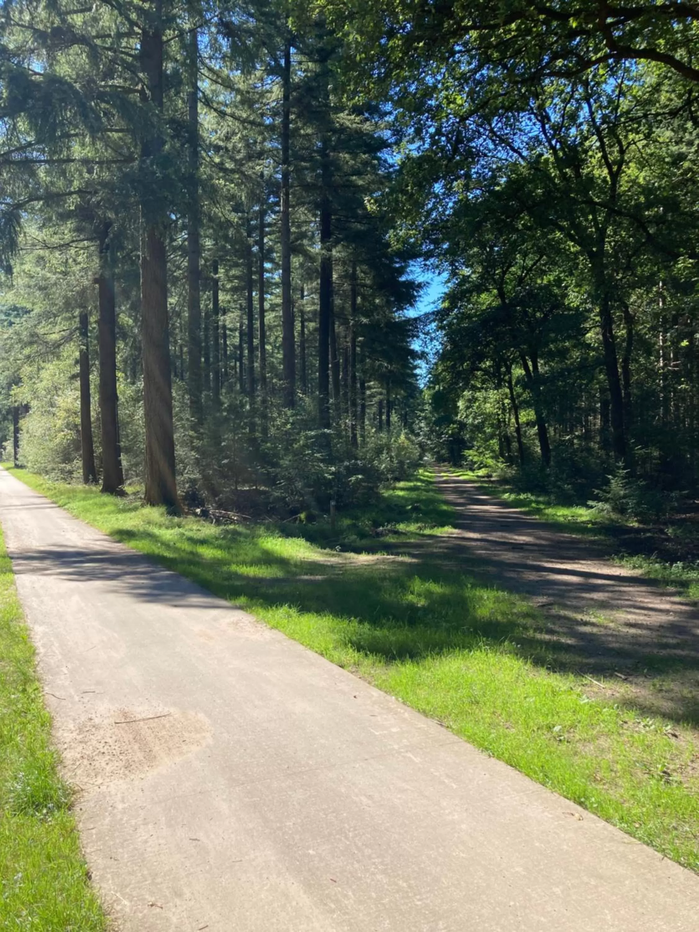 Bed & Breakfast Hoeve Happiness
