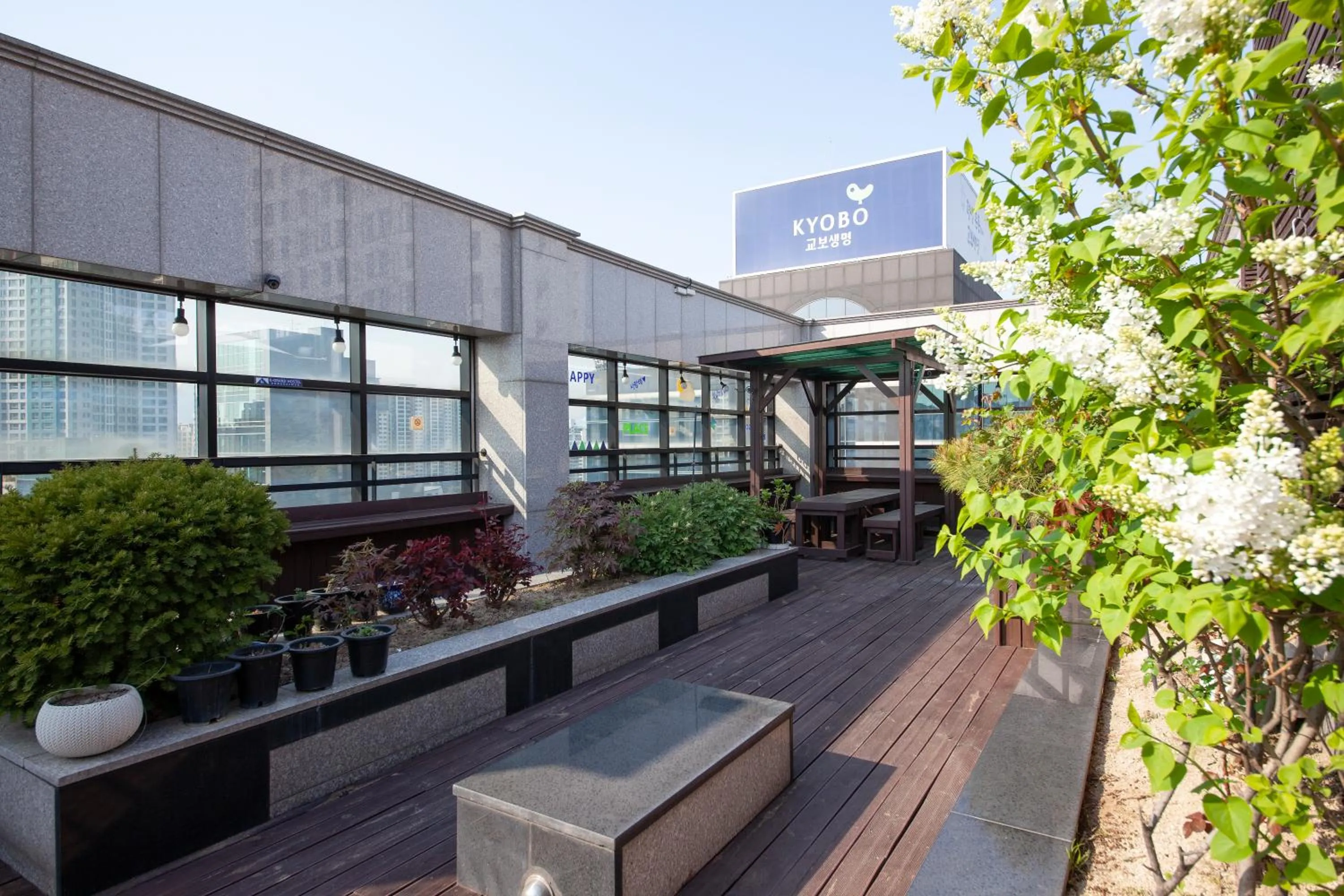 Balcony/Terrace in K-Grand Hostel Dongdaemun