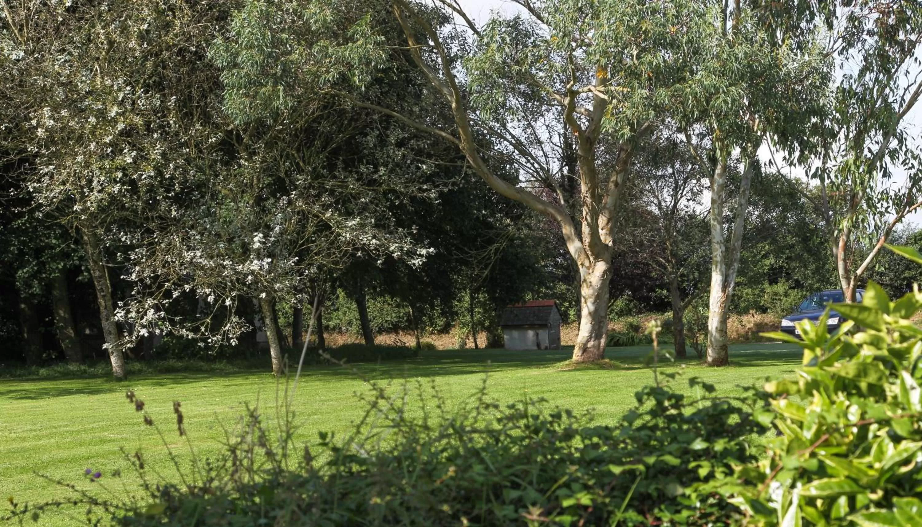 Natural landscape in Treweens