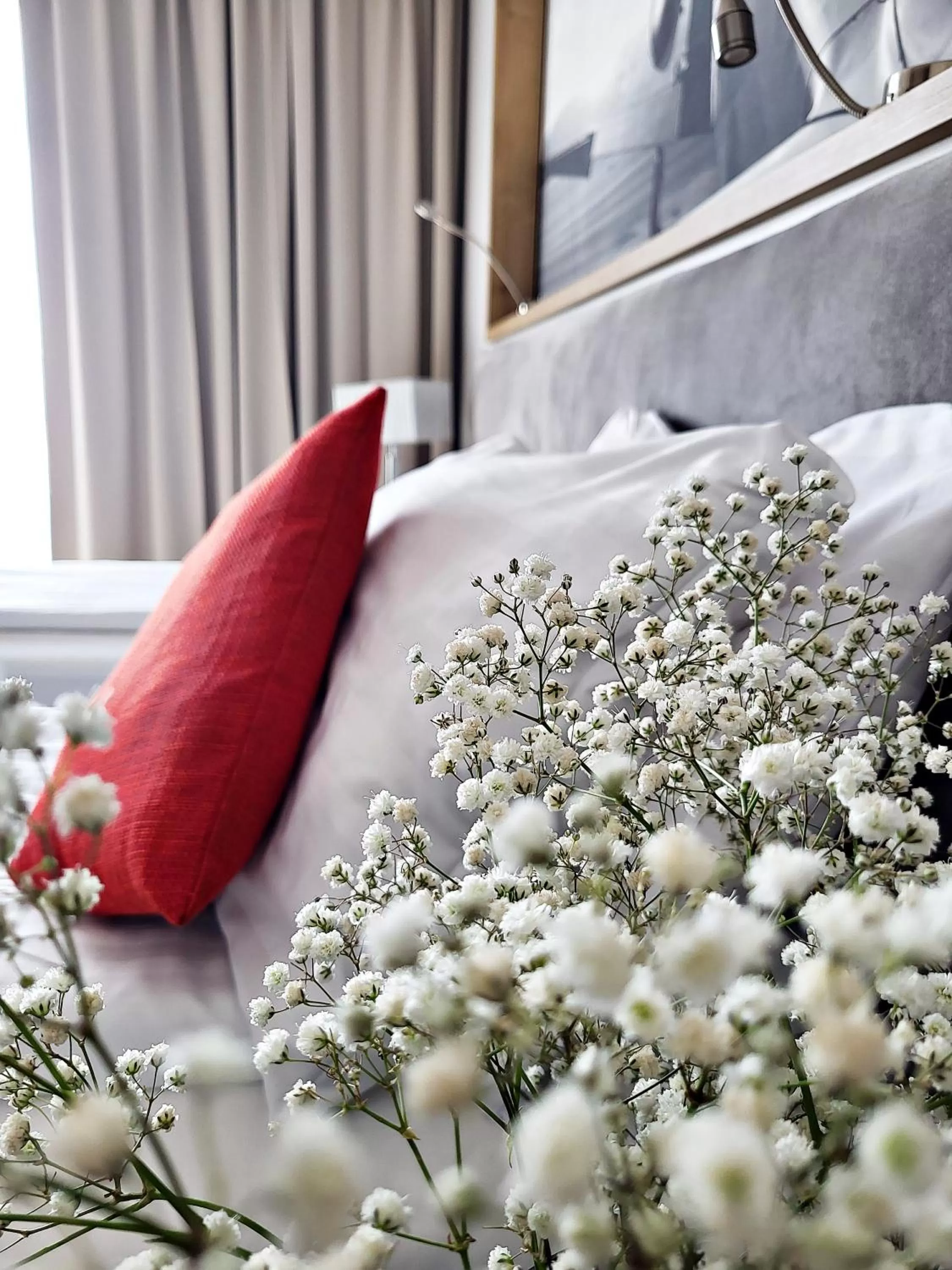 Photo of the whole room, Bed in Hotel Forza