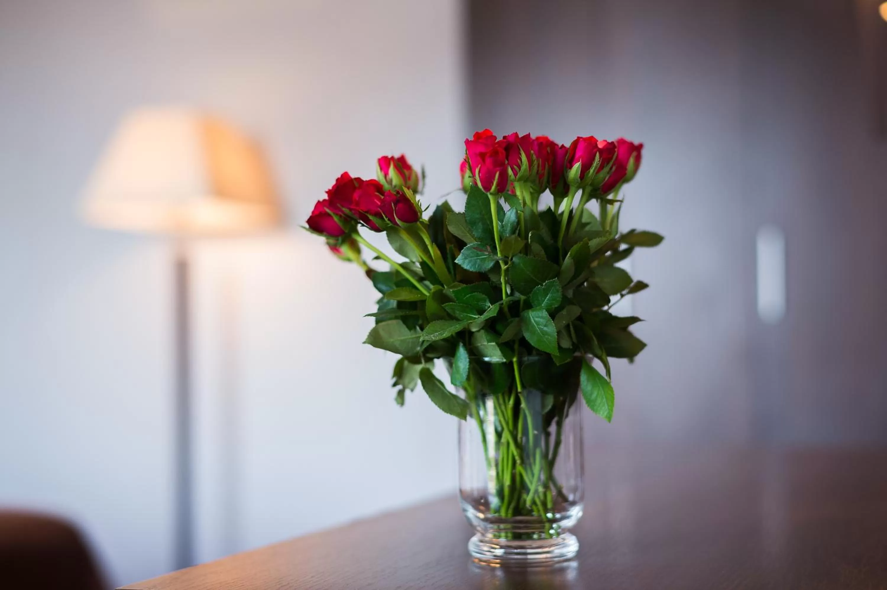 Deluxe Twin Room in Jasek Premium Hotel Wrocław