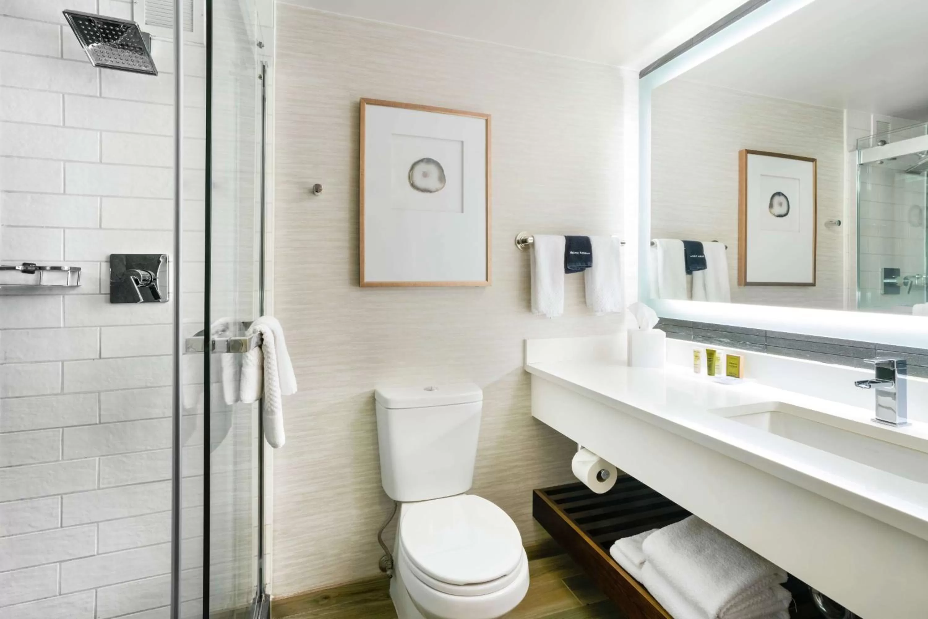 Bathroom in Hilton Denver City Center