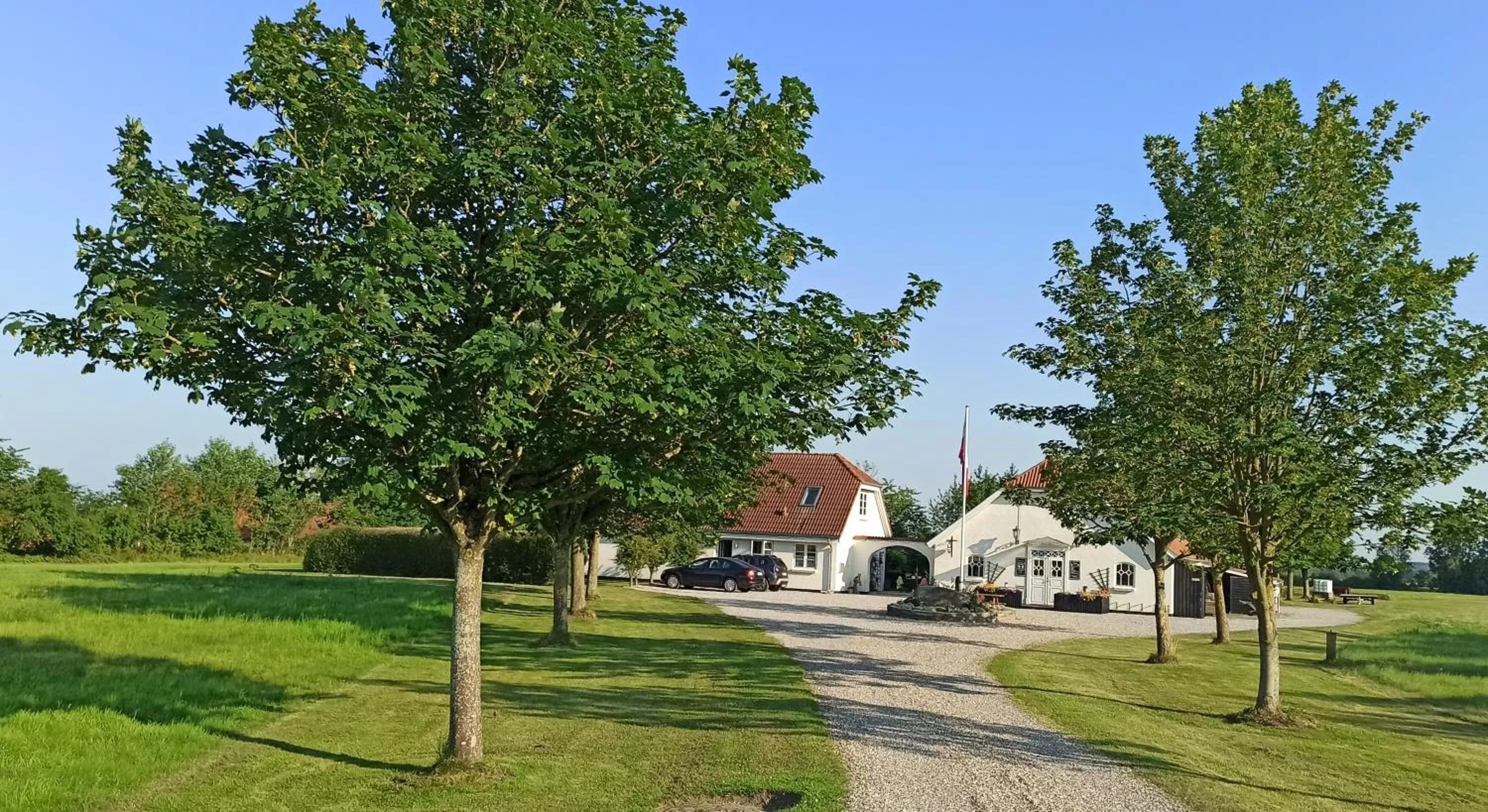 Garden in Dragondrum Bed & Breakfast