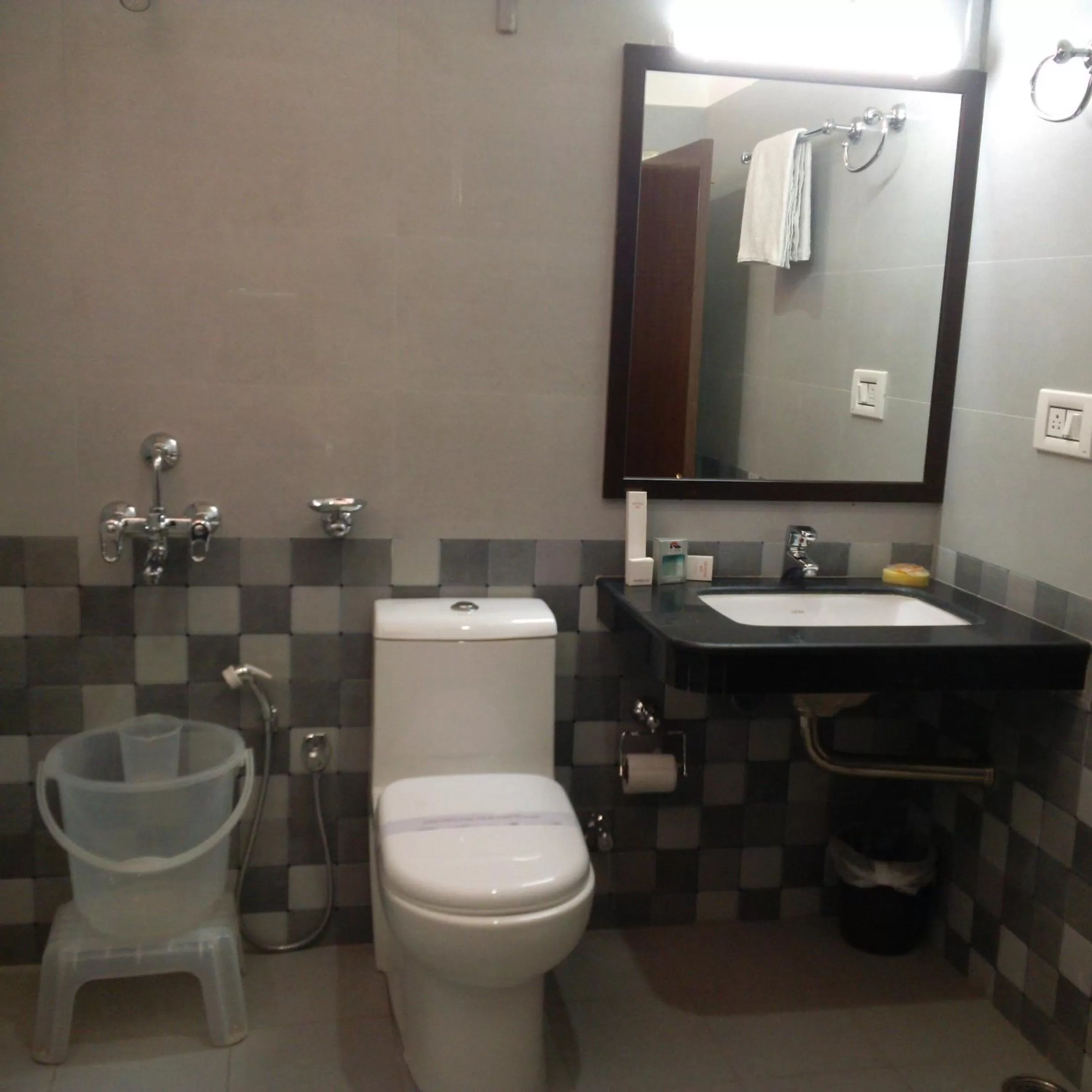 Toilet in Hotel Kullu Valley