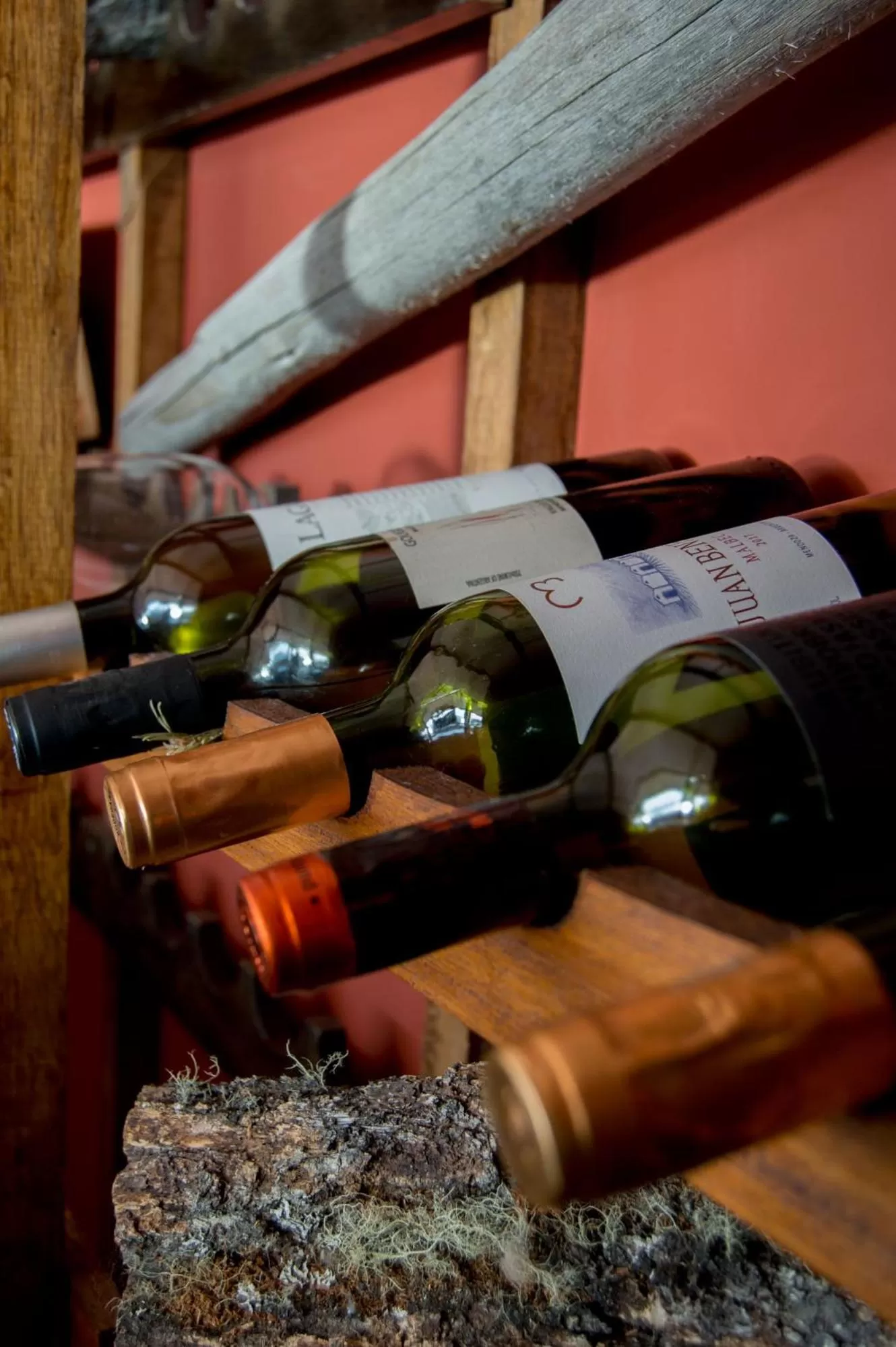 Restaurant/places to eat, Drinks in Hosteria La Estepa