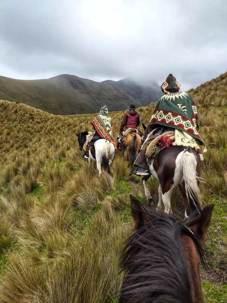 Ruta de los volcanes "Casa de campo"
