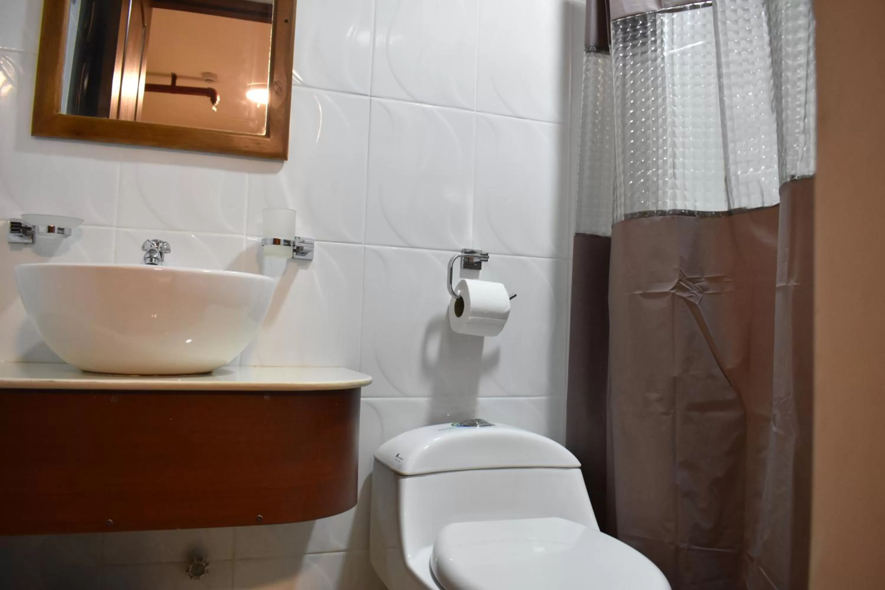 Shower, Bathroom in Hotel Bonanza