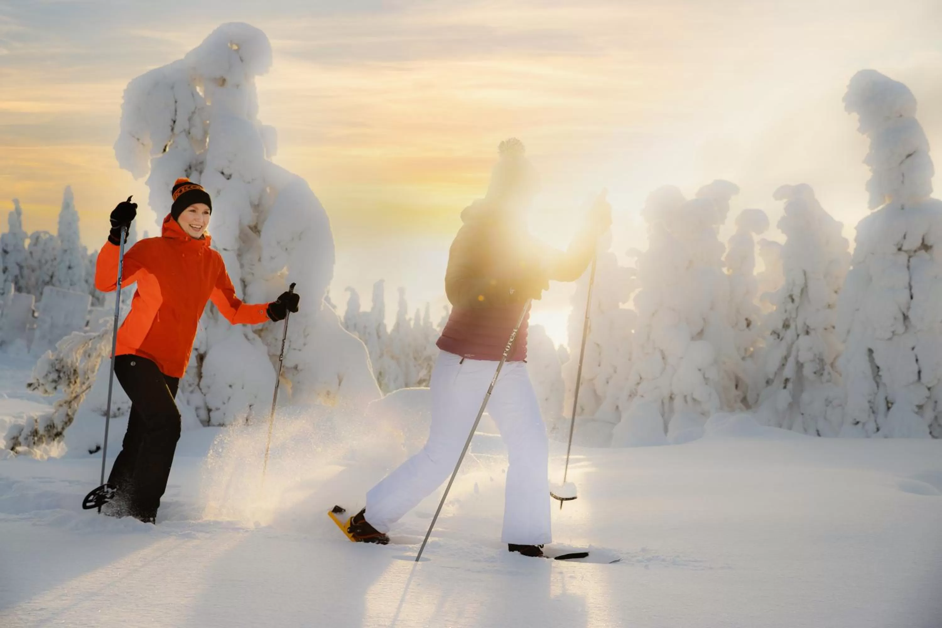 Day in Ukkohalla Chalets