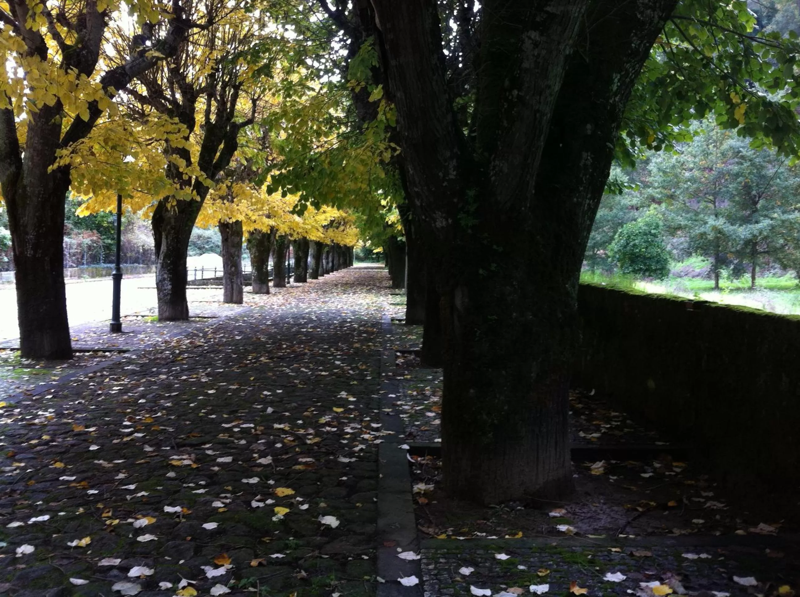 Natural landscape in Douro Marina Hotel & SPA