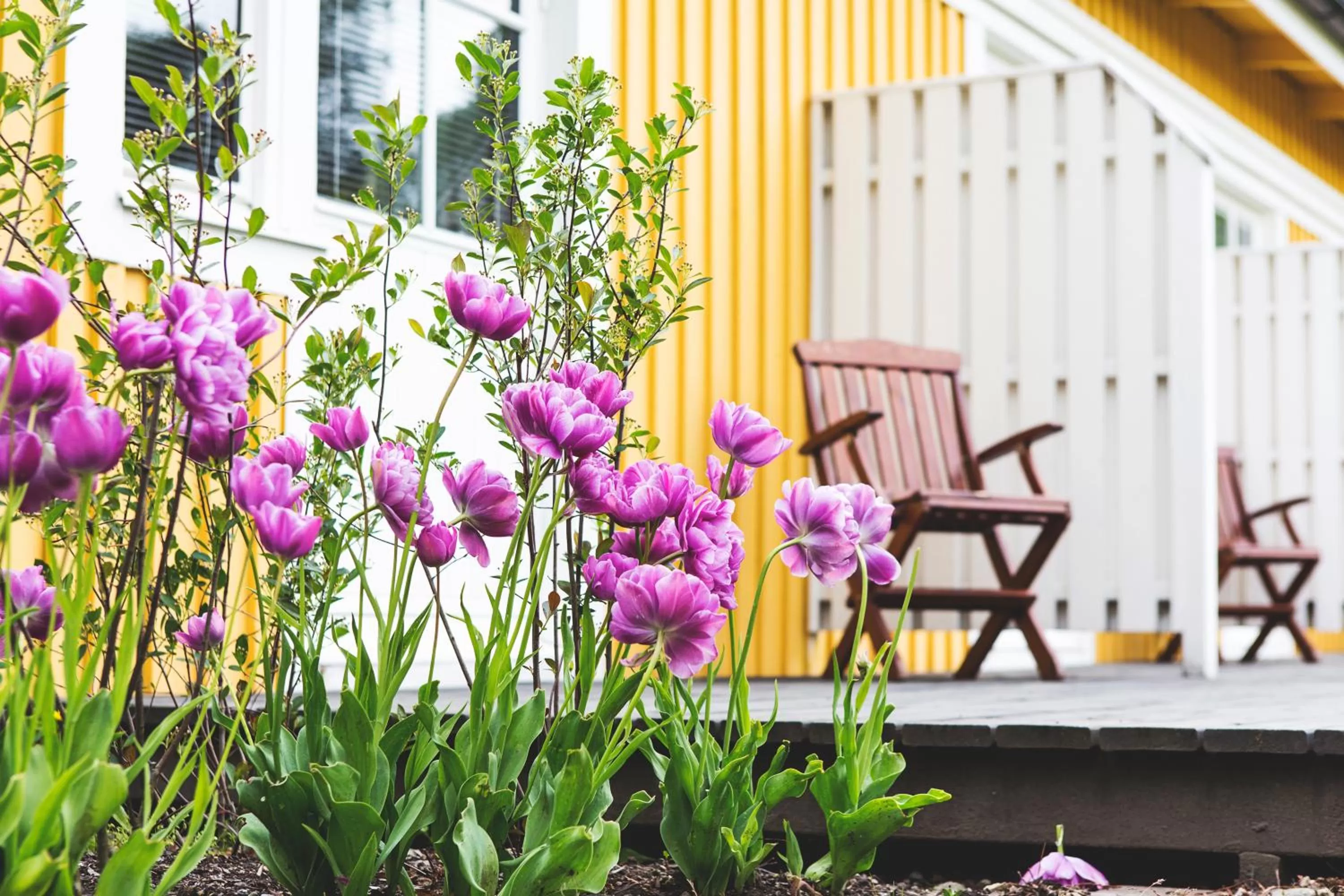 Patio in Lejondals Slott