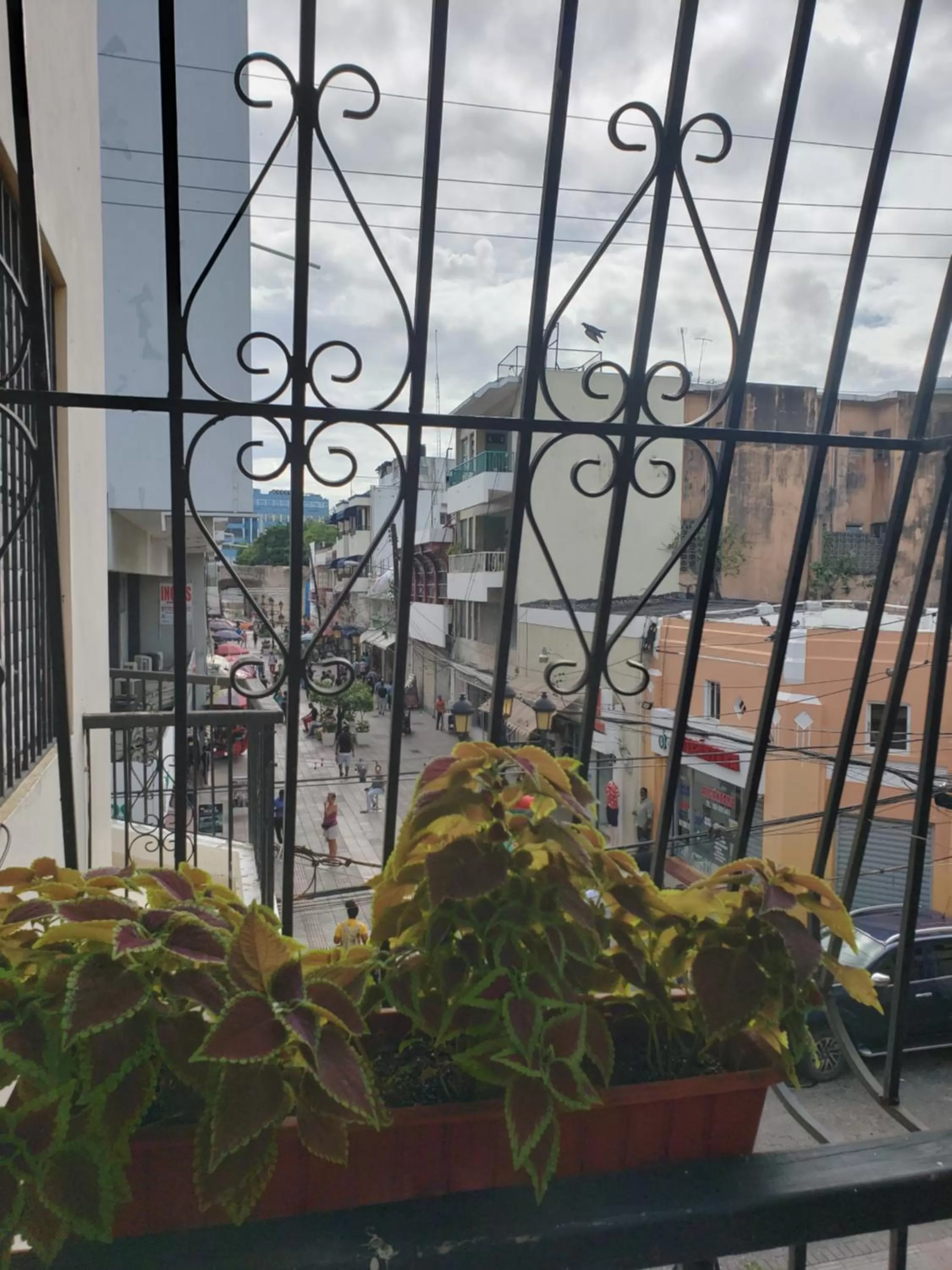 Balcony/Terrace in Hotel Class Colonial