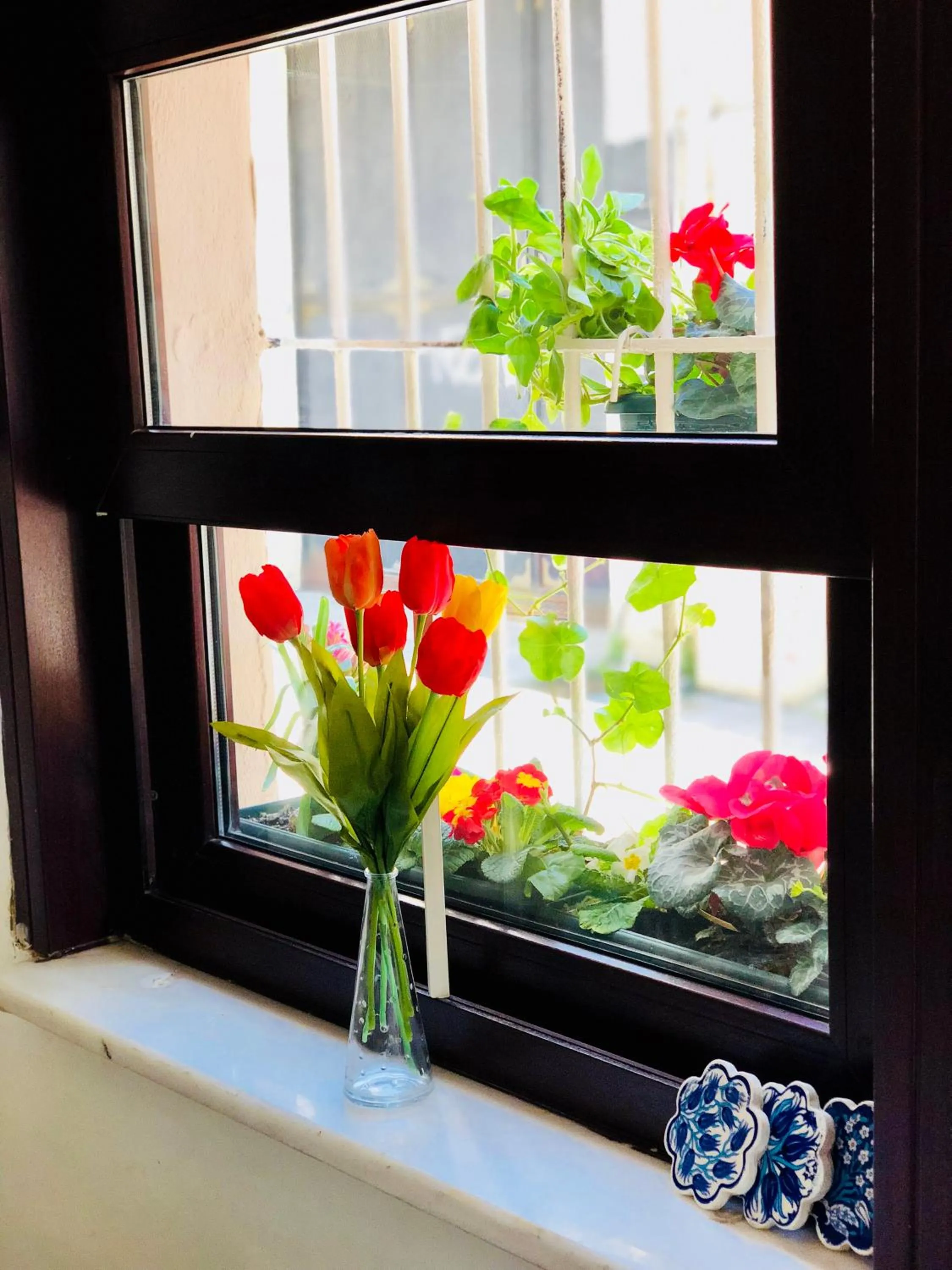 Property building in The House of Tulpan