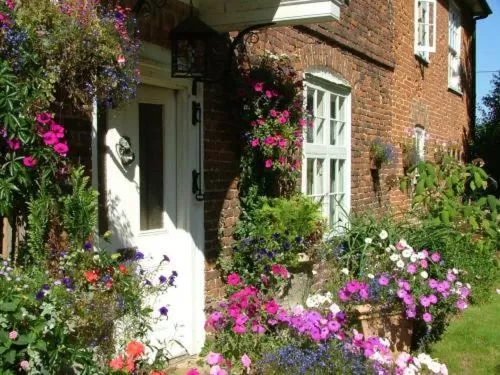 Facade/entrance in Molland Manor House Bed & Breakfast