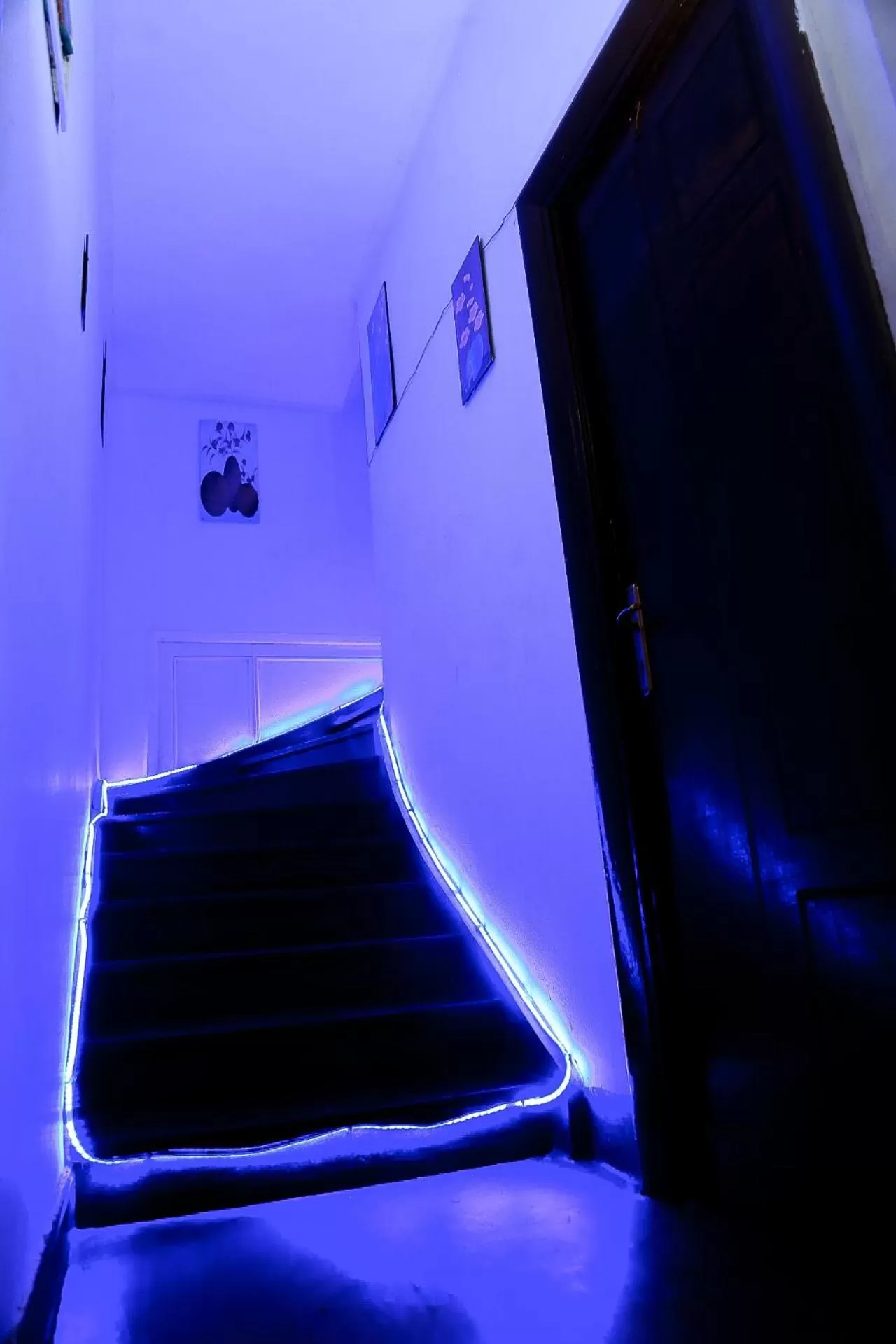 TV/Entertainment Center in Castle Hotel