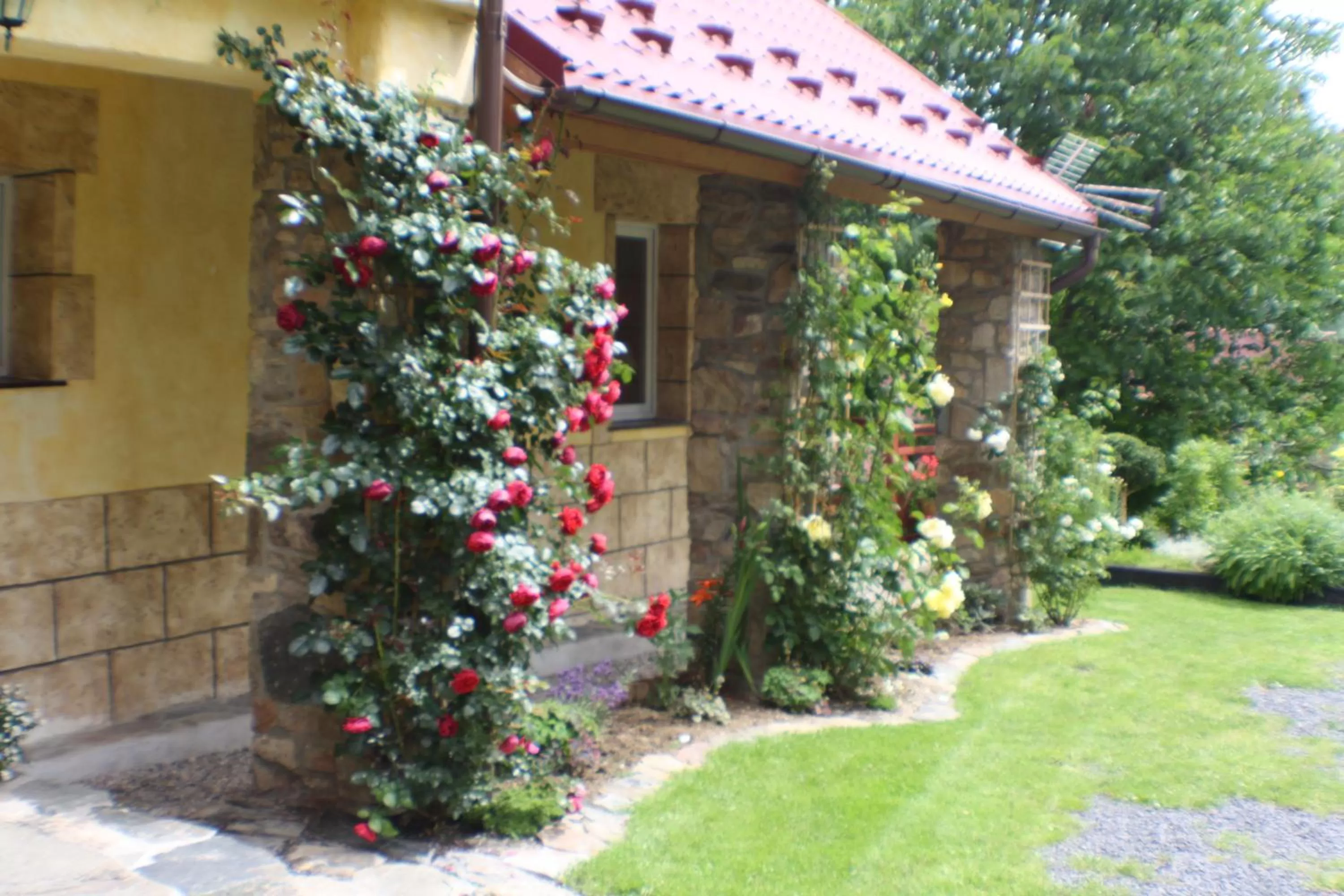 Decorative detail, Garden in Dom na Klonowym Wzgórzu