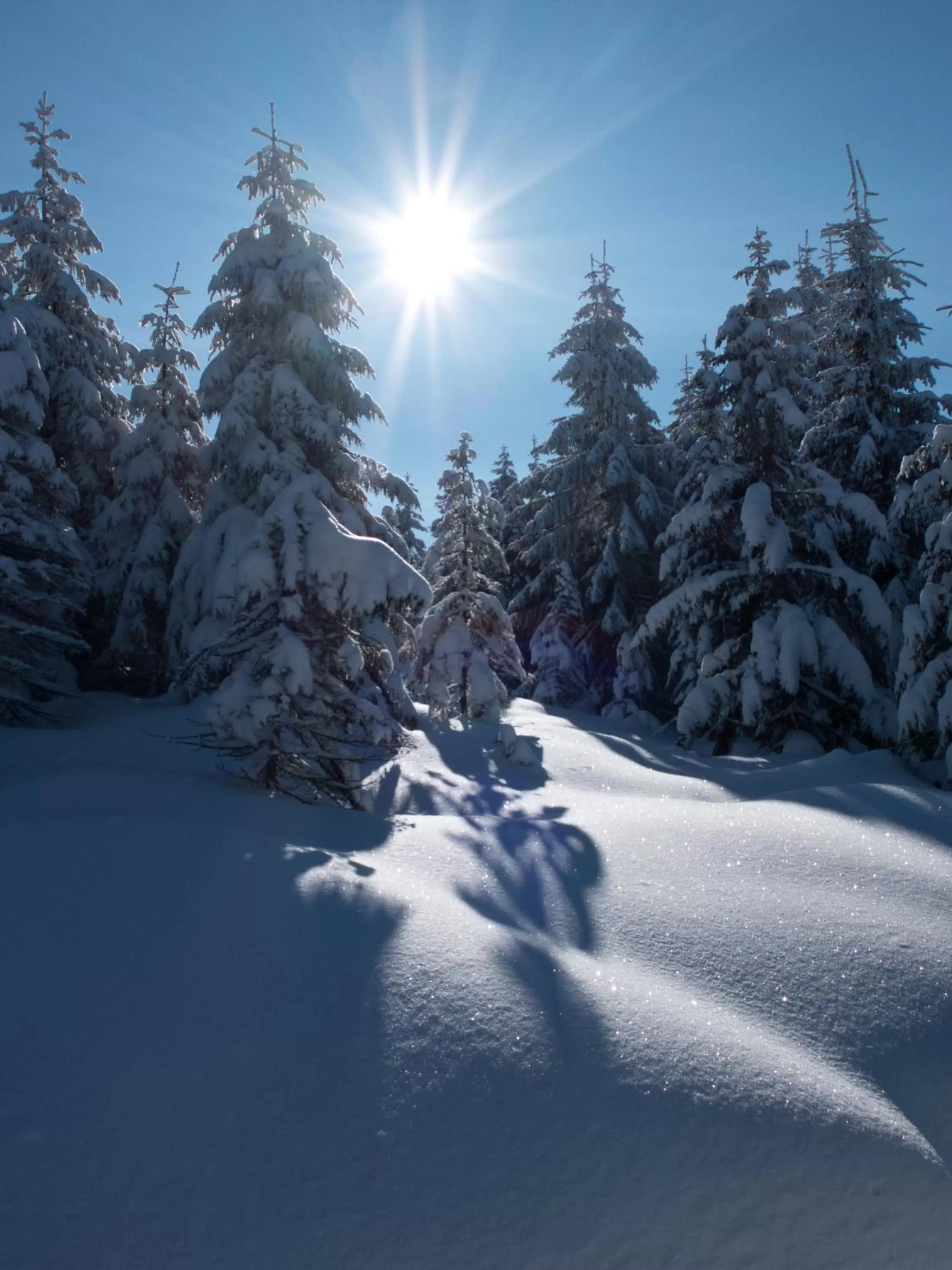 Natural landscape in Hotel Bon